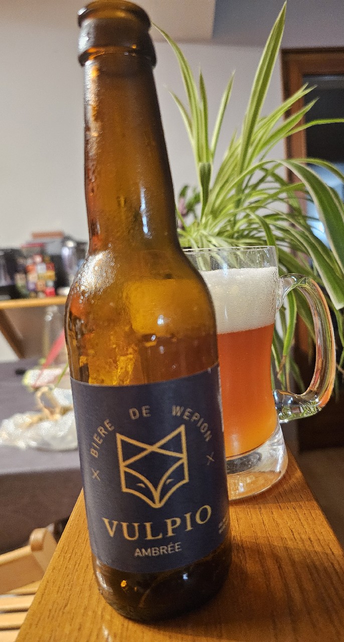 Vulpio Ambrée, Belgium