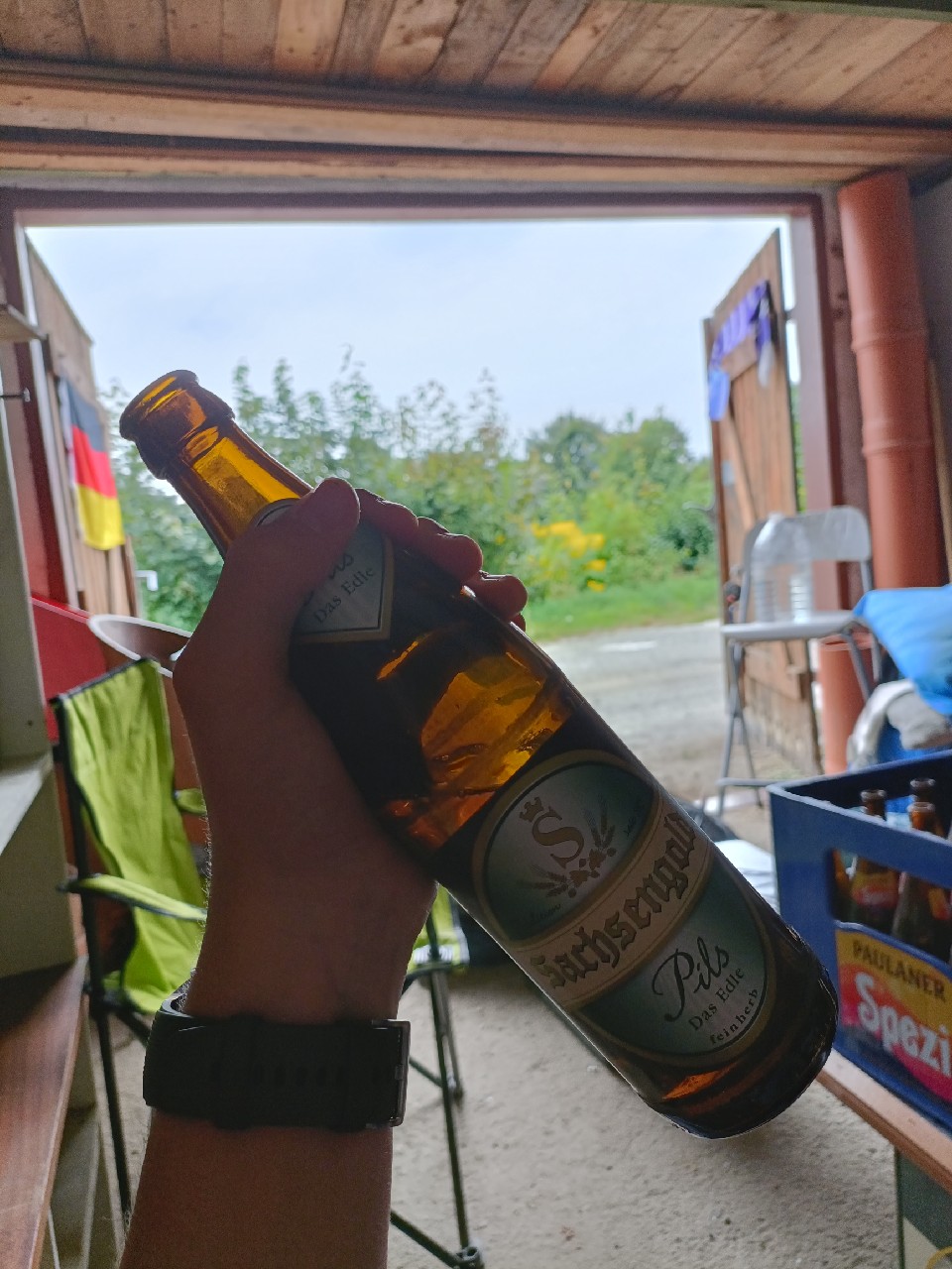 Sachsengold Pils Feinherb, Mauritus Brauerei Zwickau