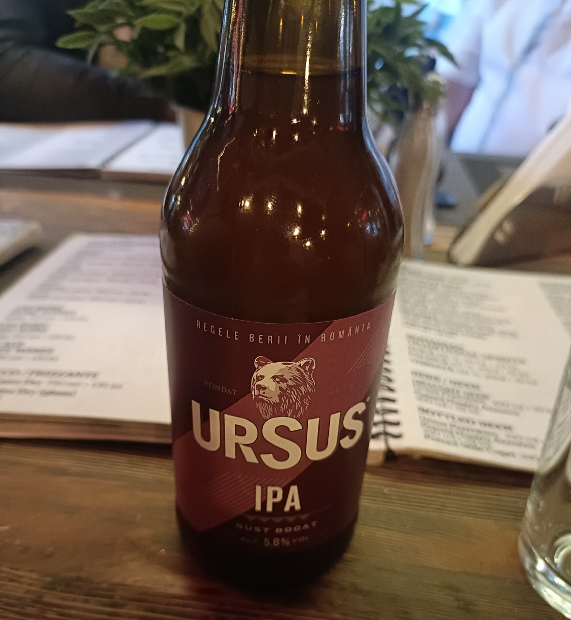 Ursus IPA, Ursus Breweries (SABMiller)