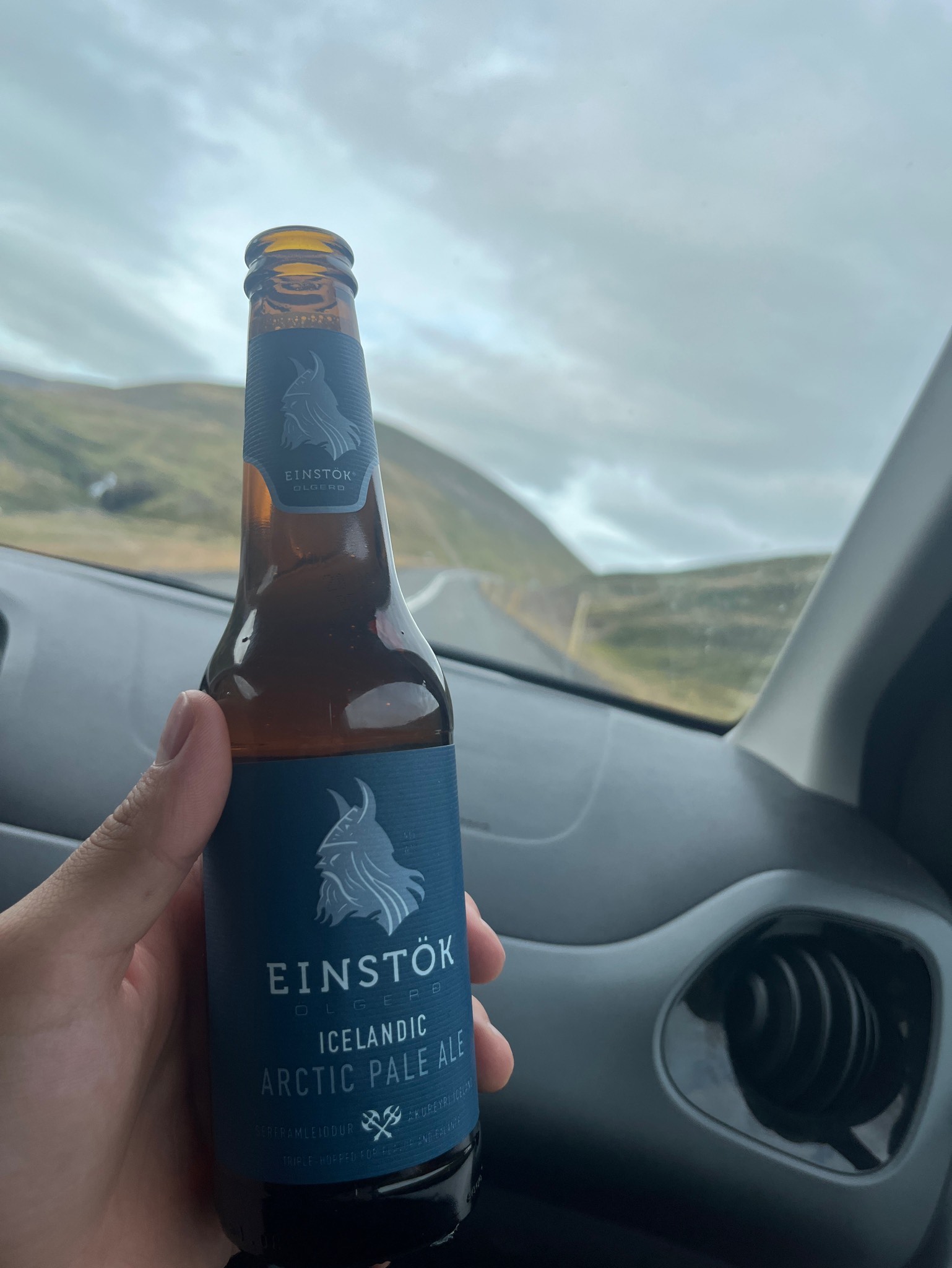 Icelandic Arctic Pale Ale, Iceland