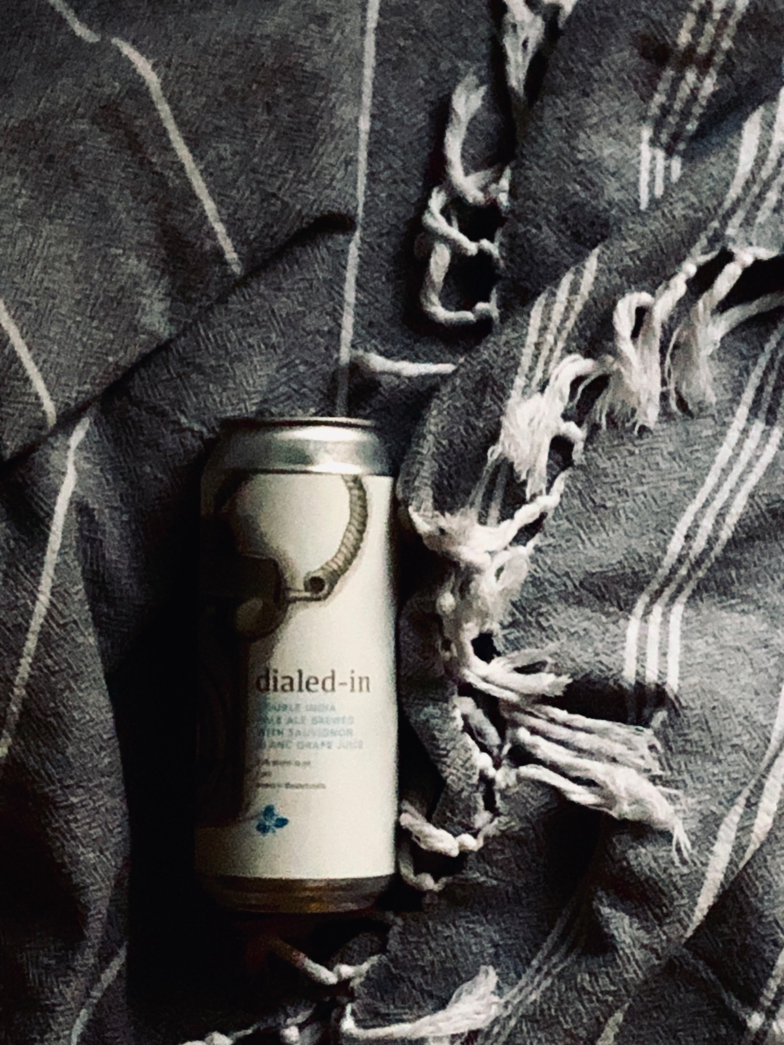 Dialed-In (w/ Sauvignon Blanc Grape Juice), Trillium Brewing Company
