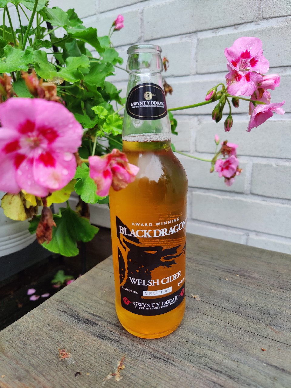 Black Dragon, Gwynt Y Ddraig