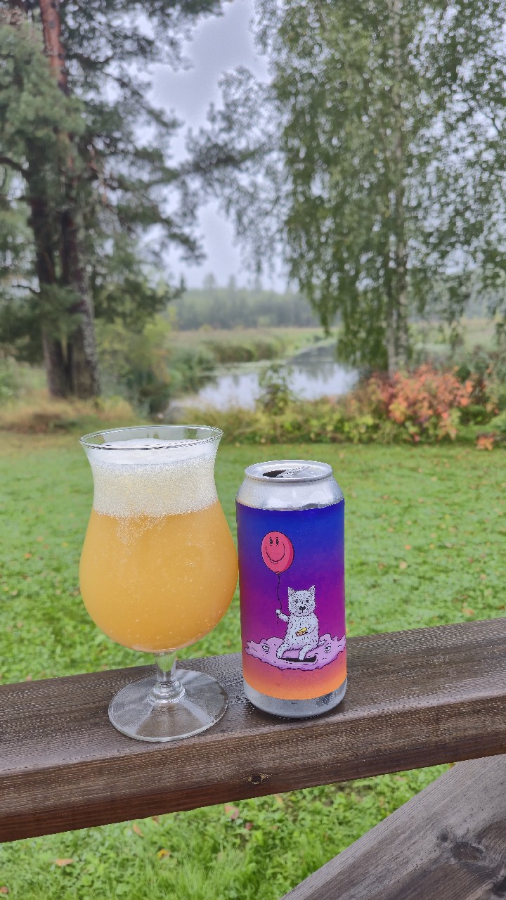 Fast Forward To SEVEN, Netherlands