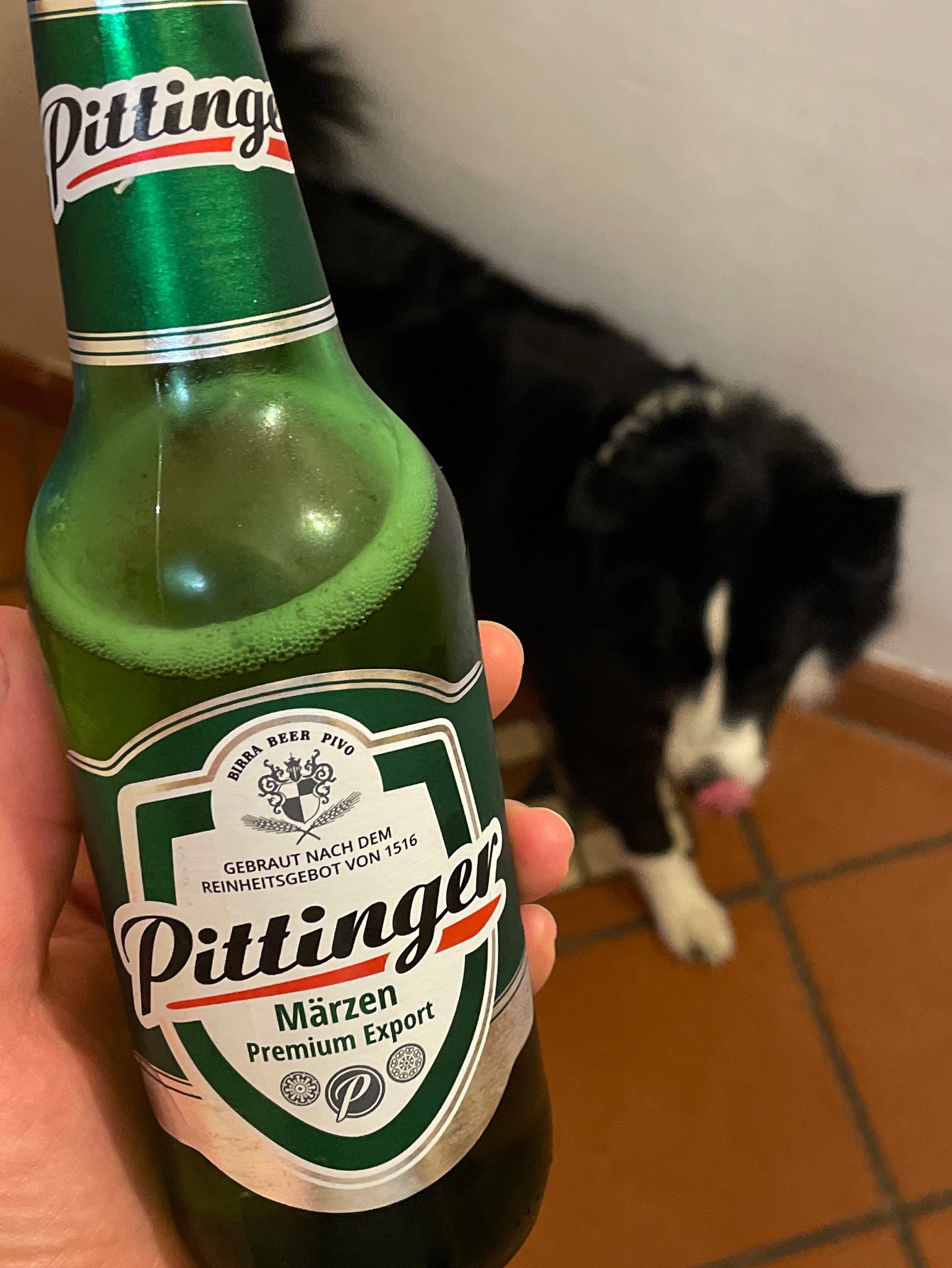 Pittinger Märzen, Austria