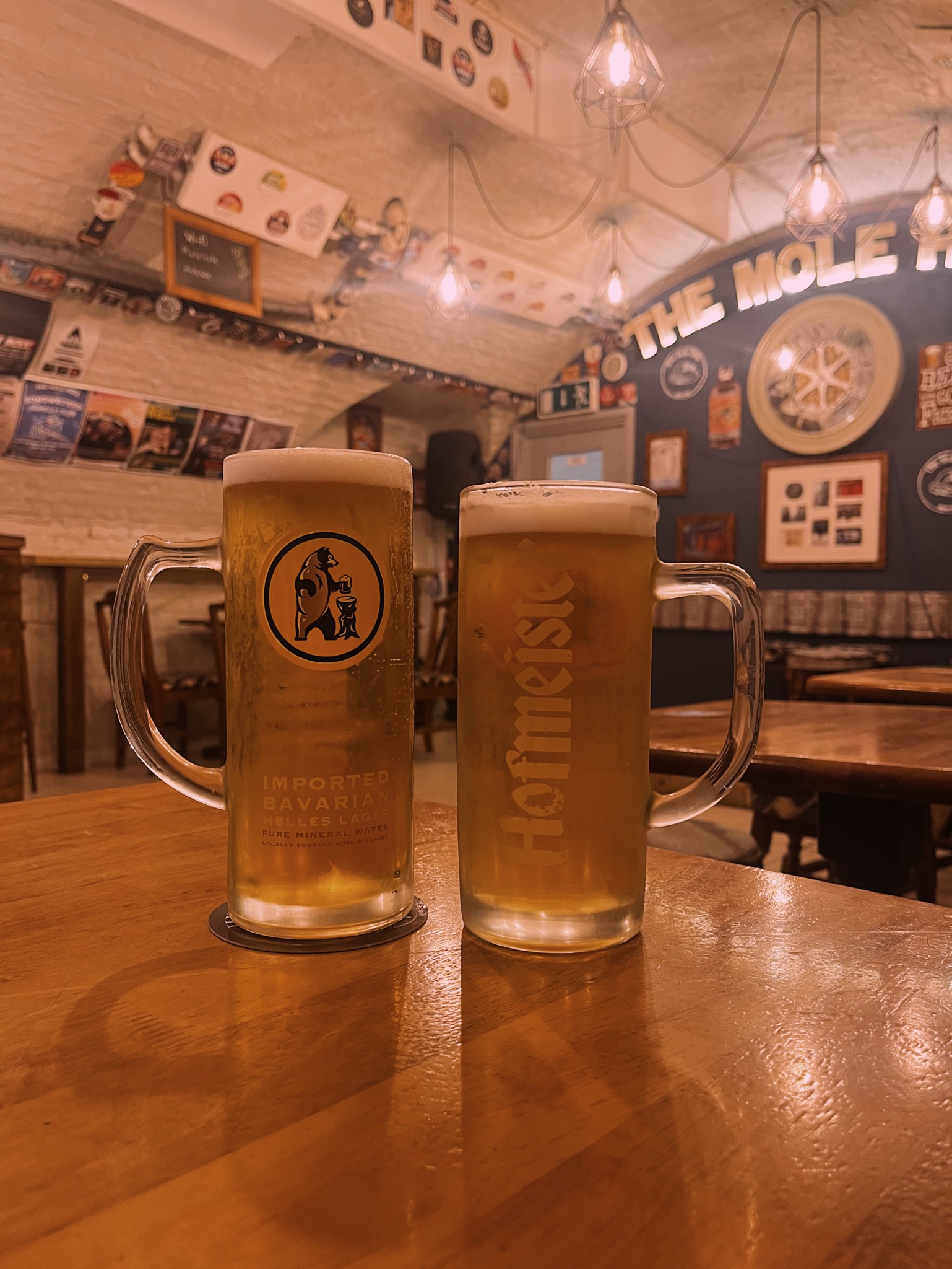 Hofmeister Helles, Hofmeister Brewing Company