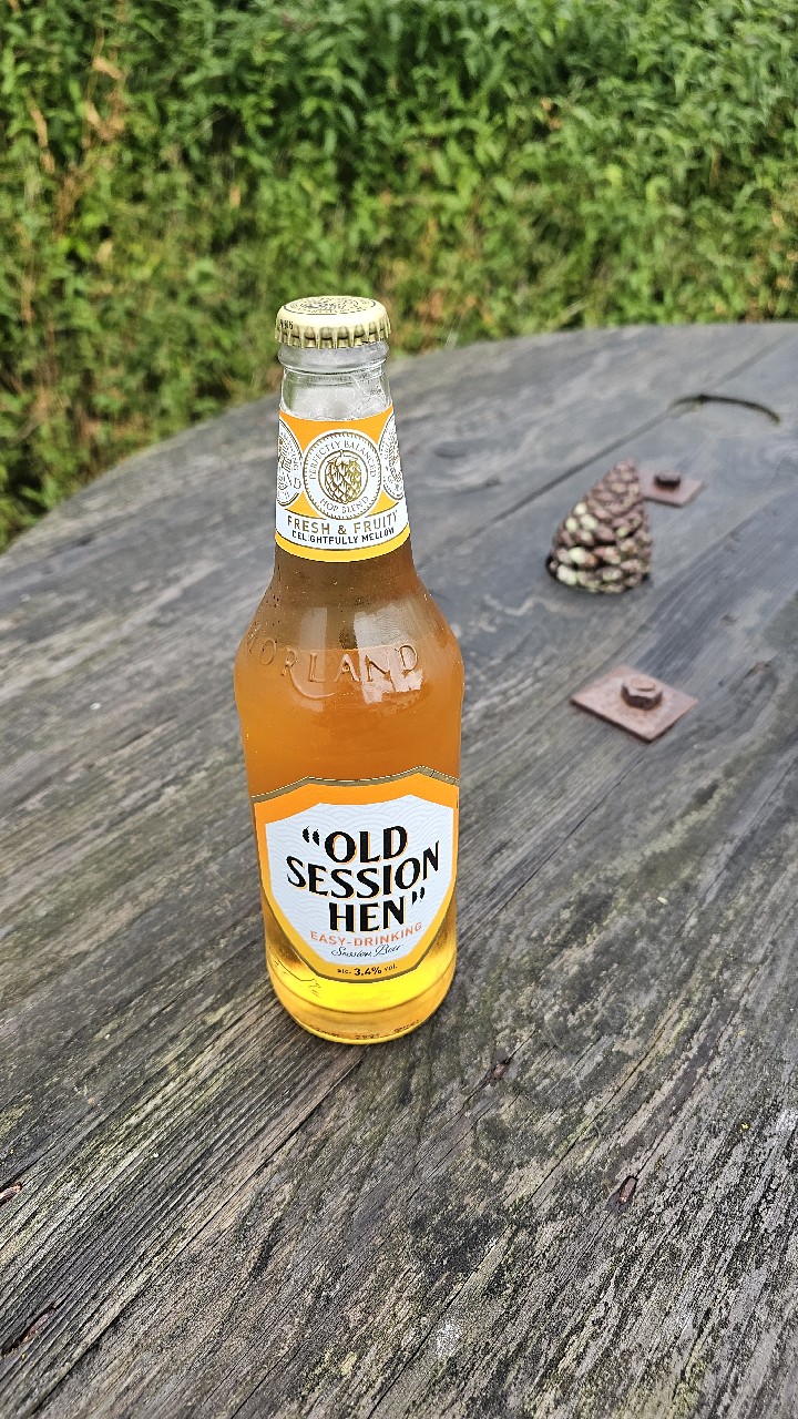 "Old Session Hen", England
