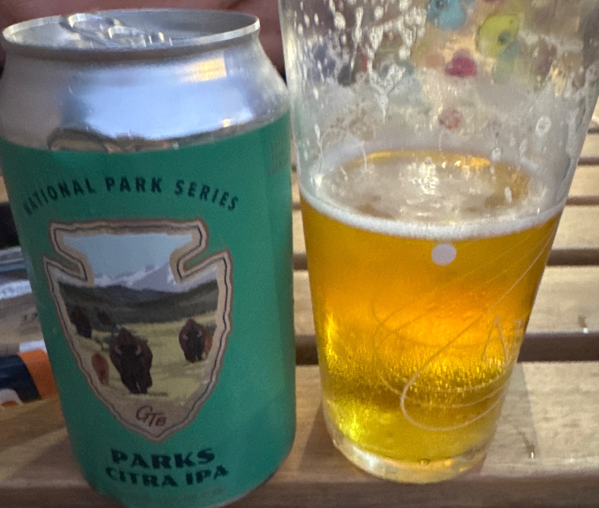 Parks citra IPA, United States