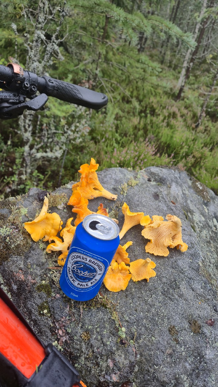 Pacific Pale Ale, Australia
