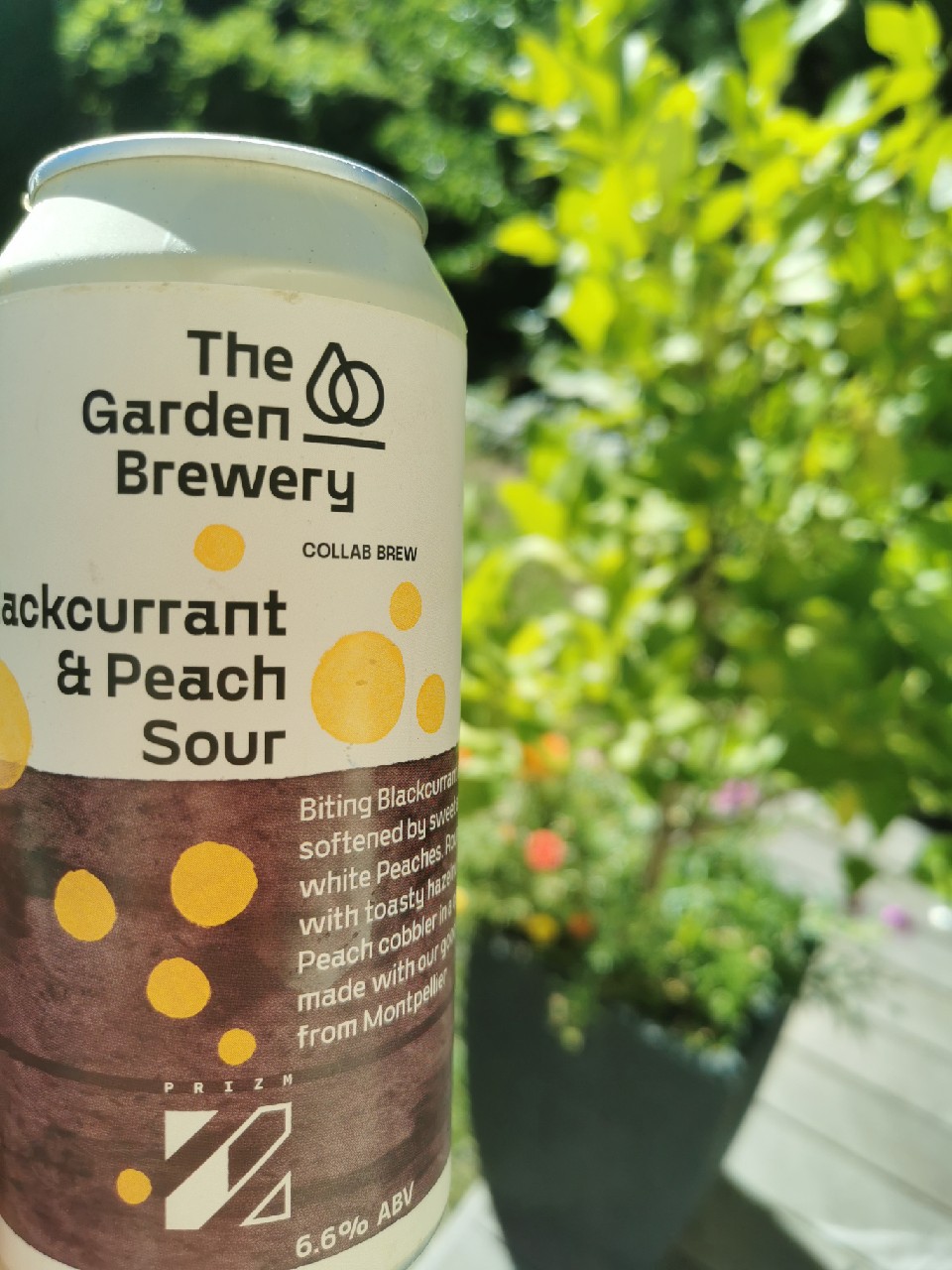 Blackcurrant & Peach Sour, Croatia