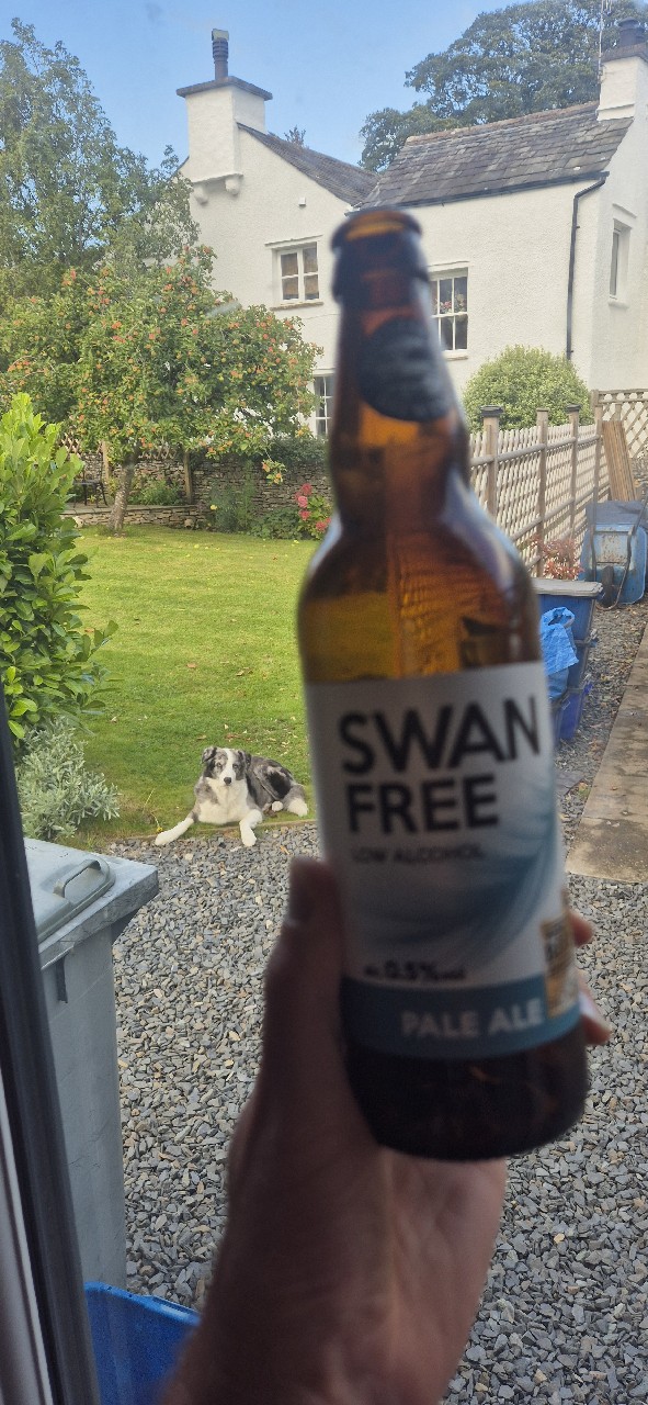SWAN FREE, Bowness Bay Brewing
