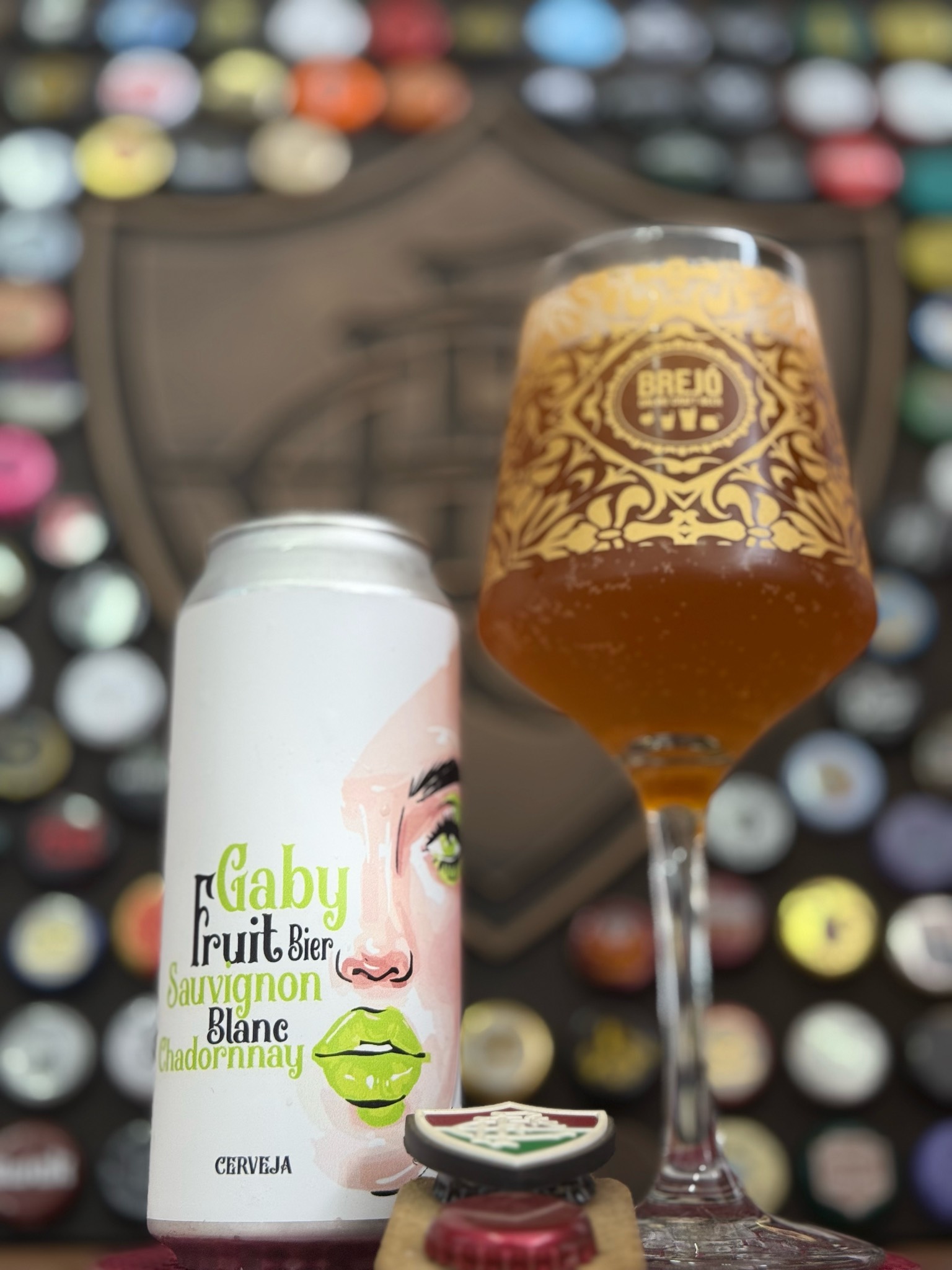 Fruit Bier Sauvingnon Blanc Chadornnay, Cervejaria Gabrielle