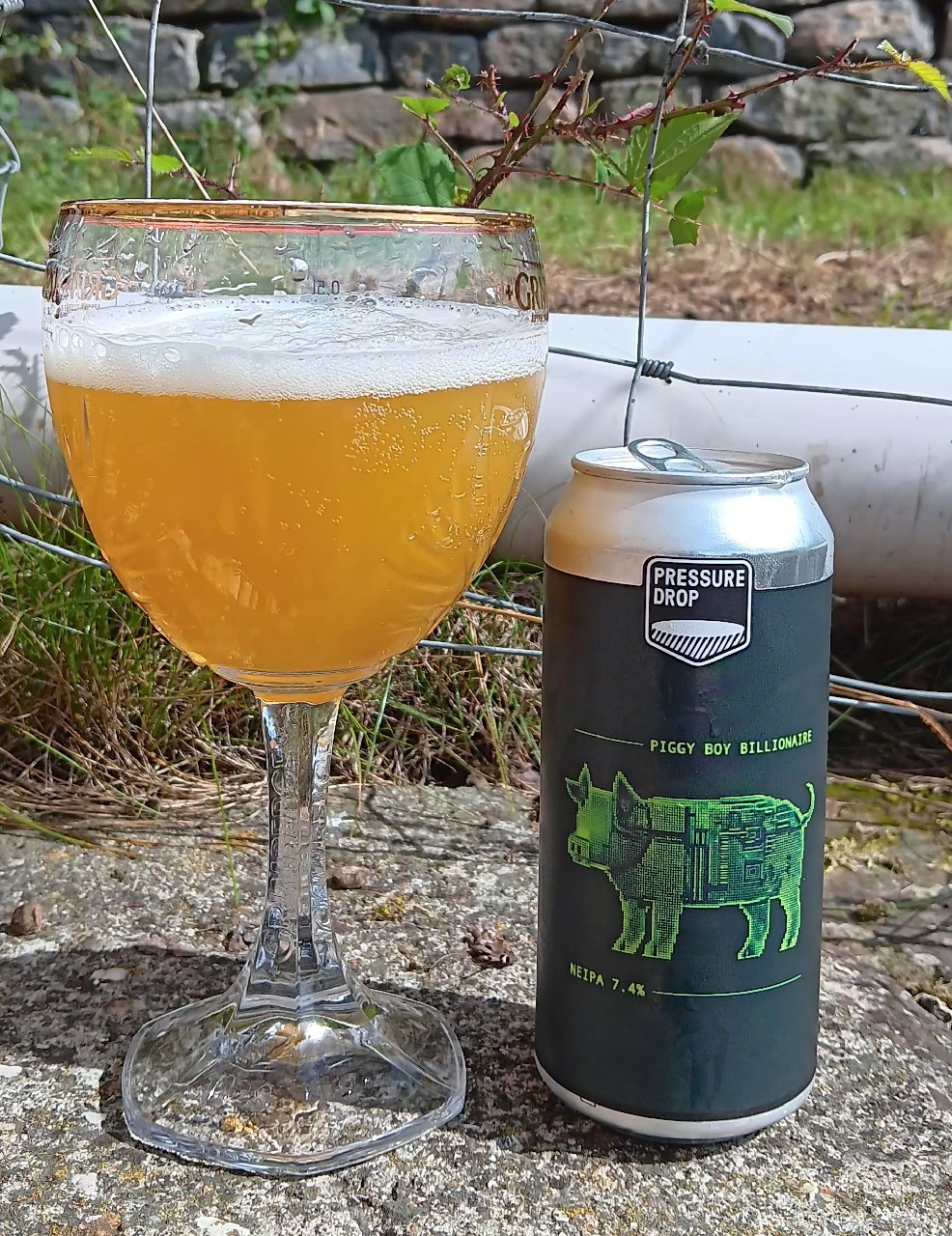Piggy boy billionaire, Pressure Drop Brewing (USA)