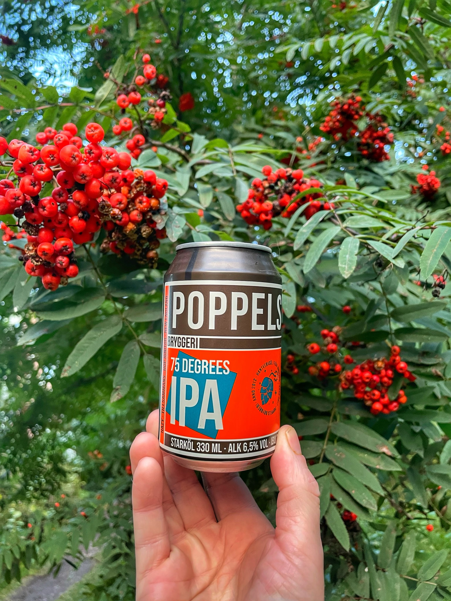 75 Degrees IPA, Sweden