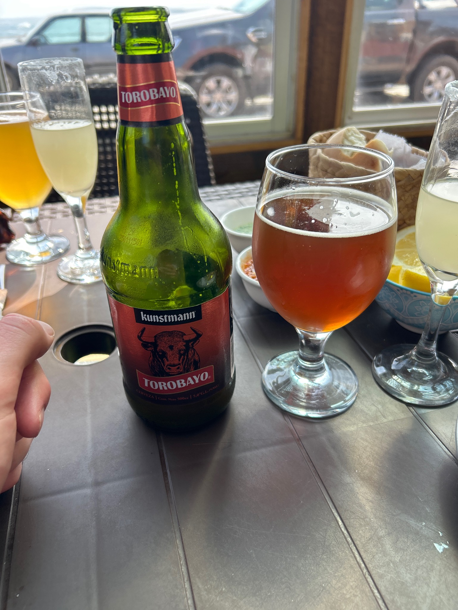 Torobayo Pale Ale, Chile