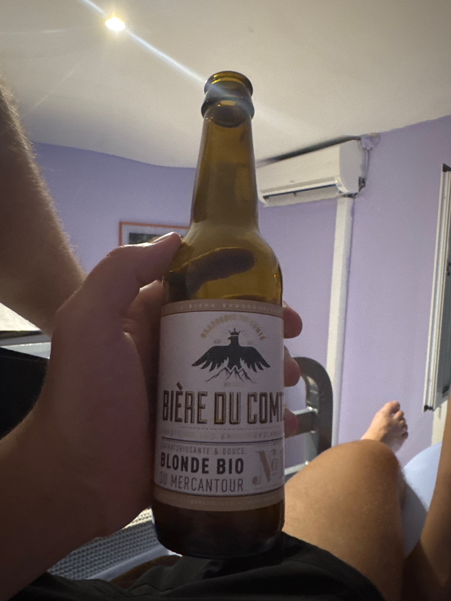 Bière Du Comté N°1 Blonde, France