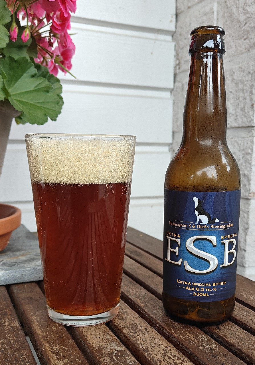 ESB, Finland