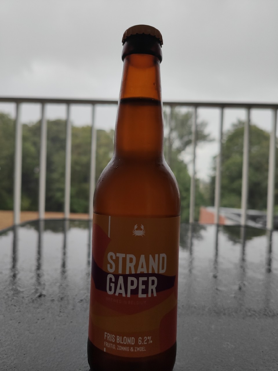 Strandgaper, Belgium