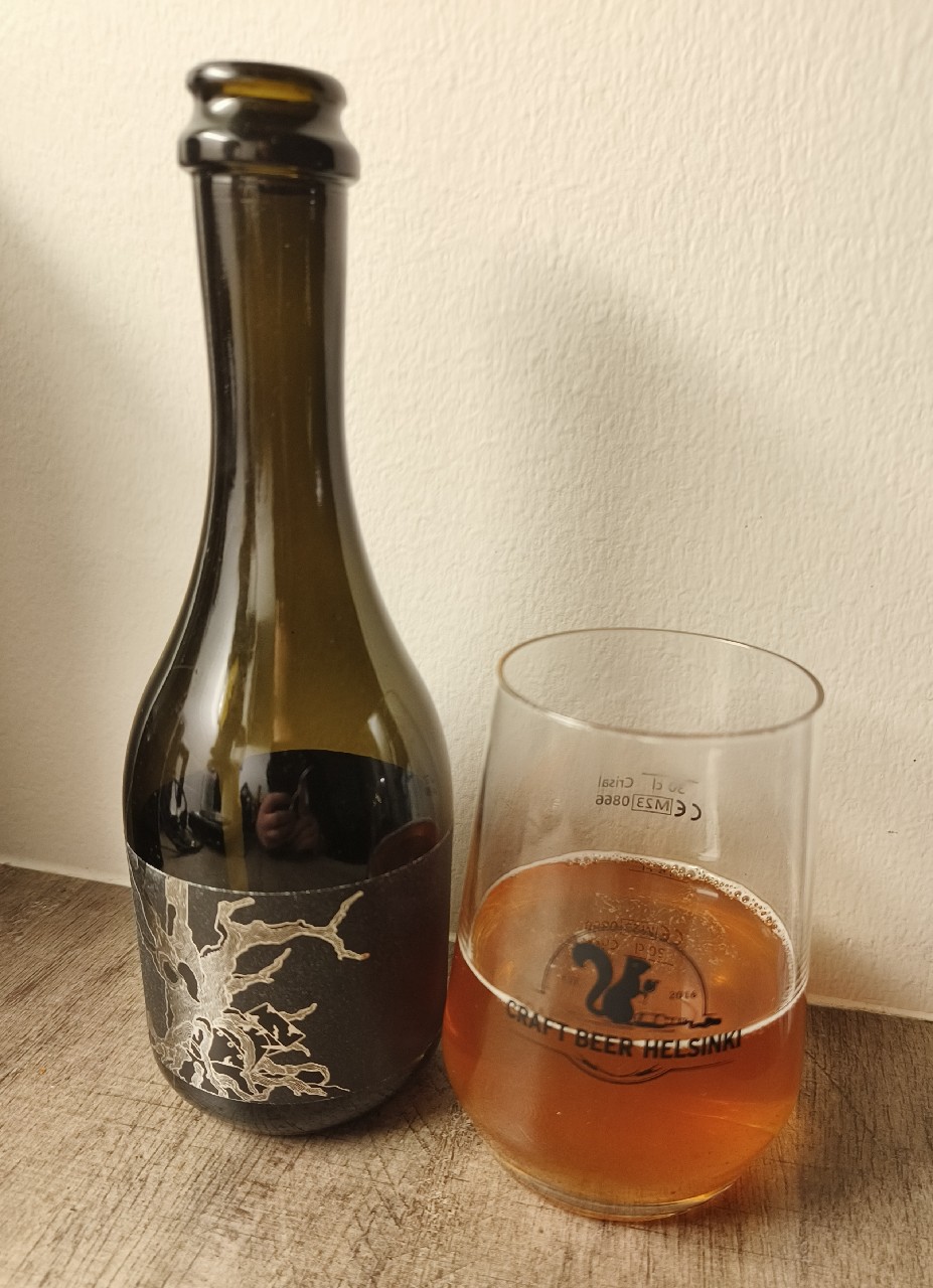 Tempus Project: Far From The Tree, England