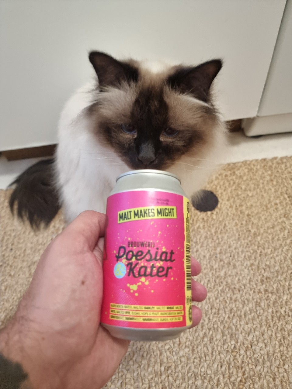 kaintz modern triple, Brouwerij Poesiat & Kater