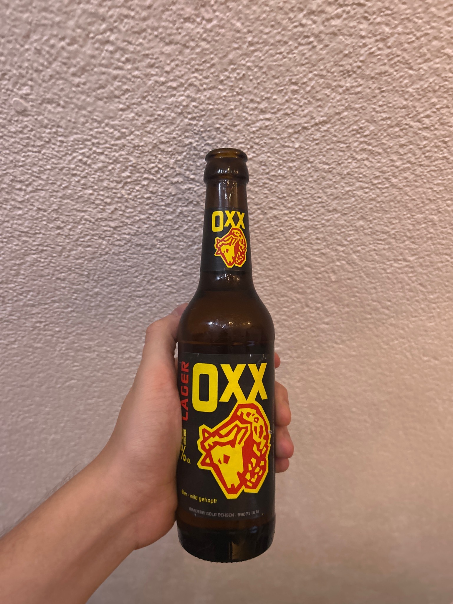 Oxx Lager, Brauerei Gold Ochsen