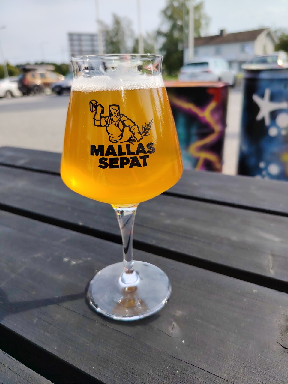 Takomo Pilsner, Finland