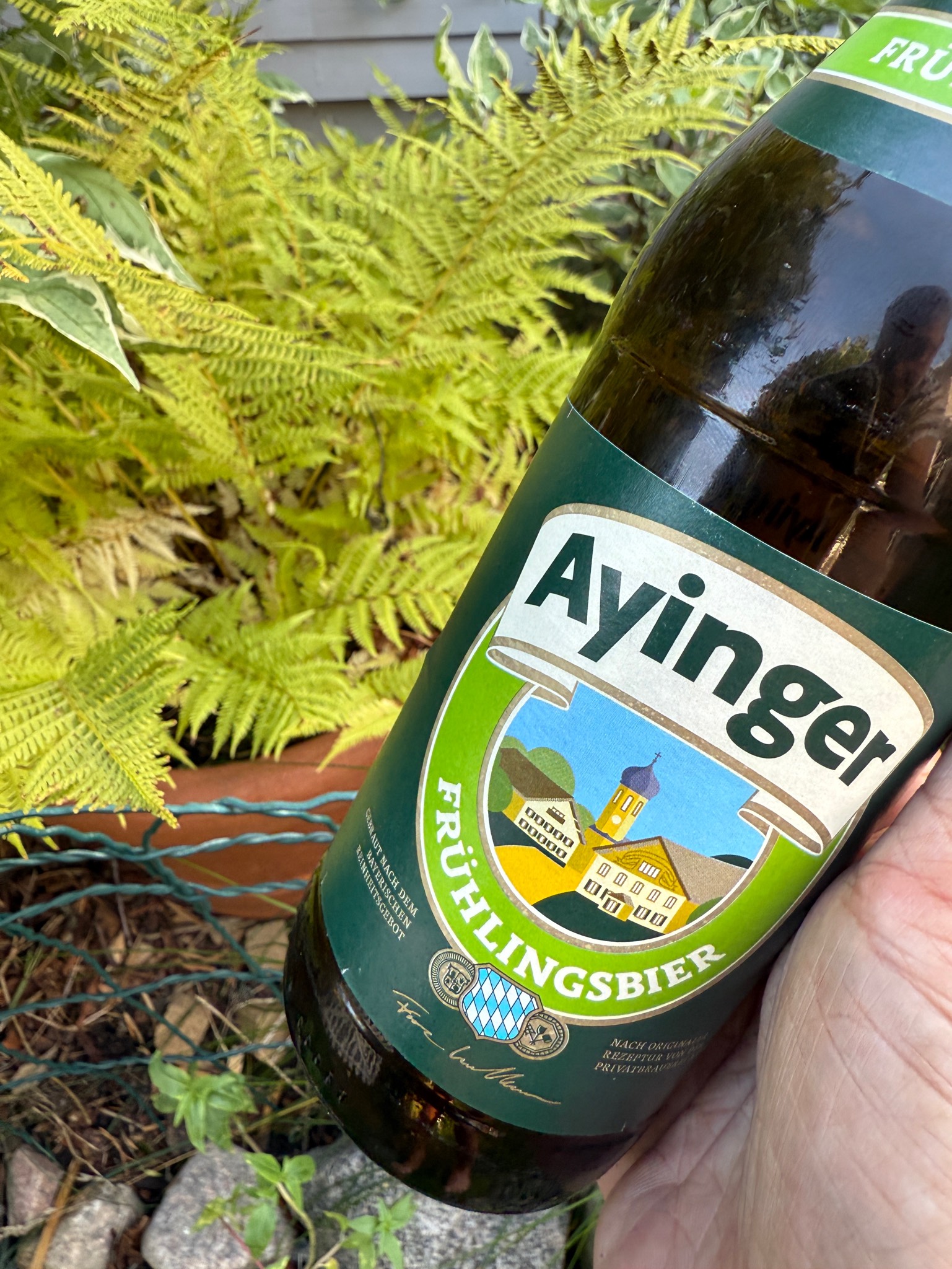 Ayinger Frühlingsbier, Germany