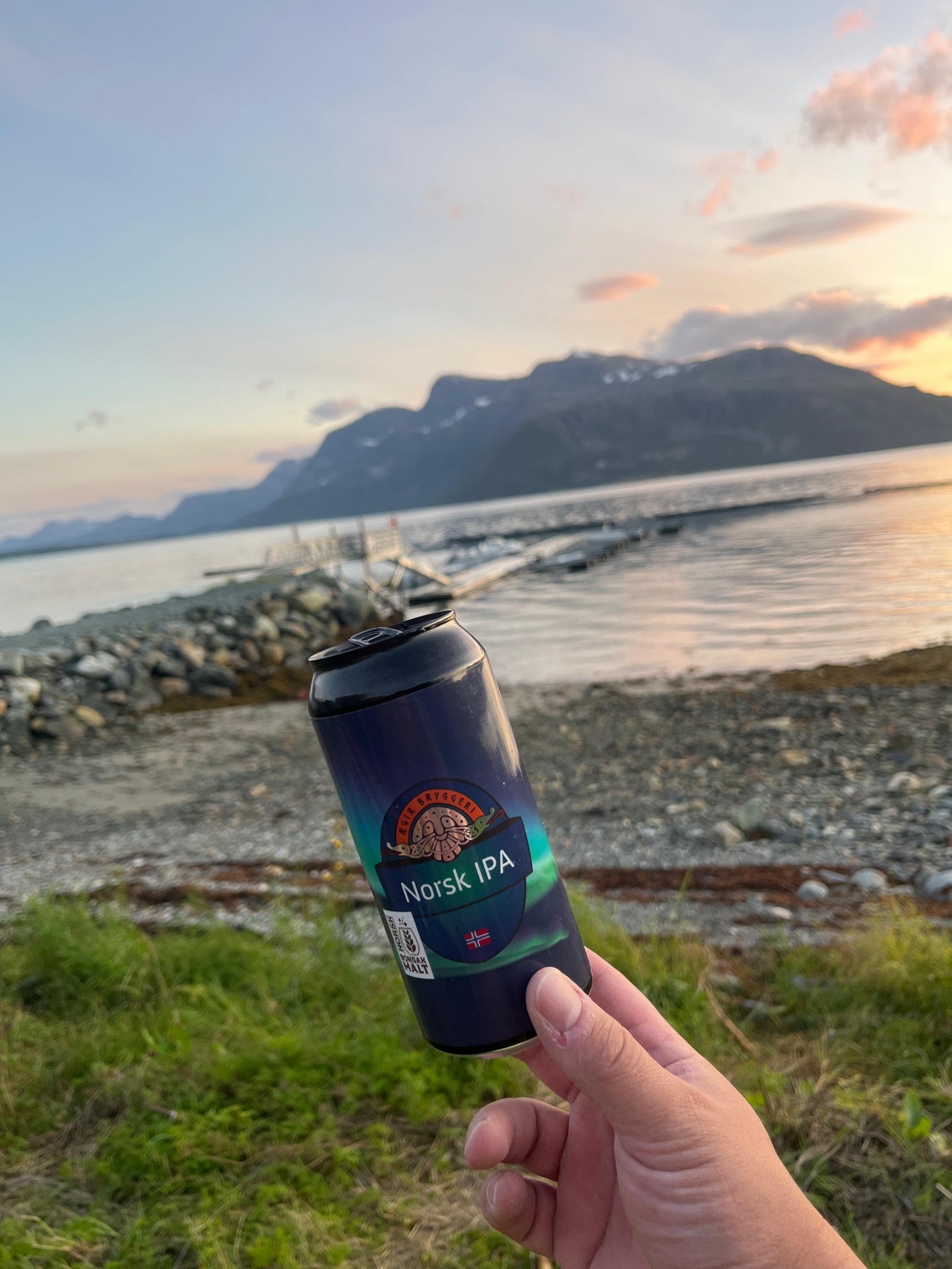 Norsk IPA, Ægir Bryggeri