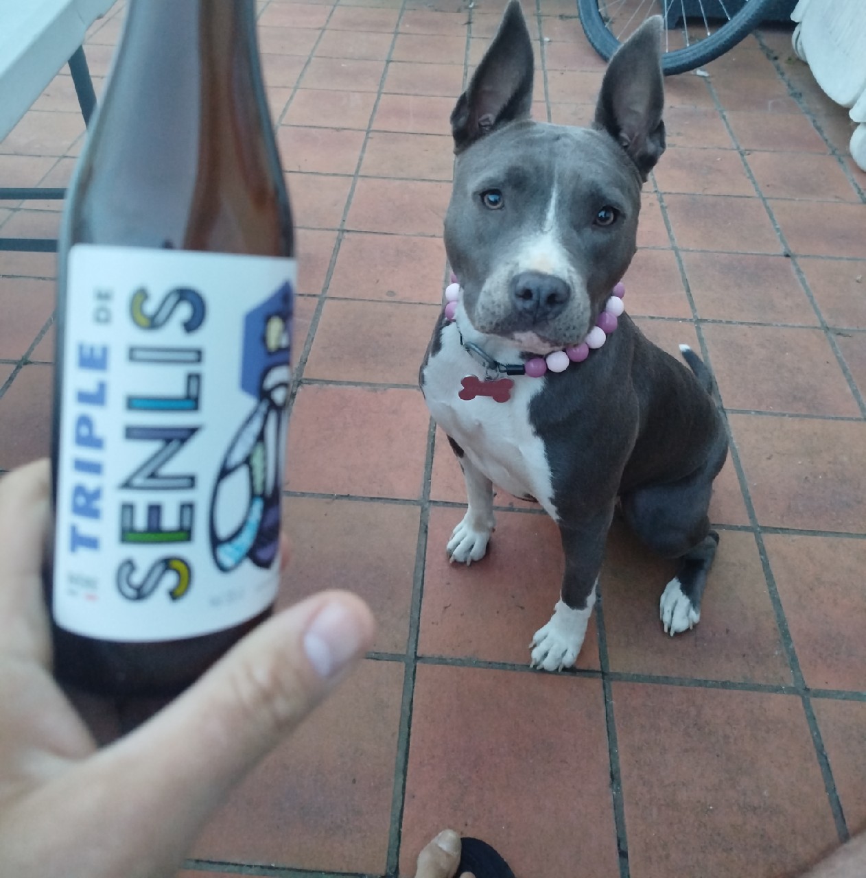 Triple De Senlis, France