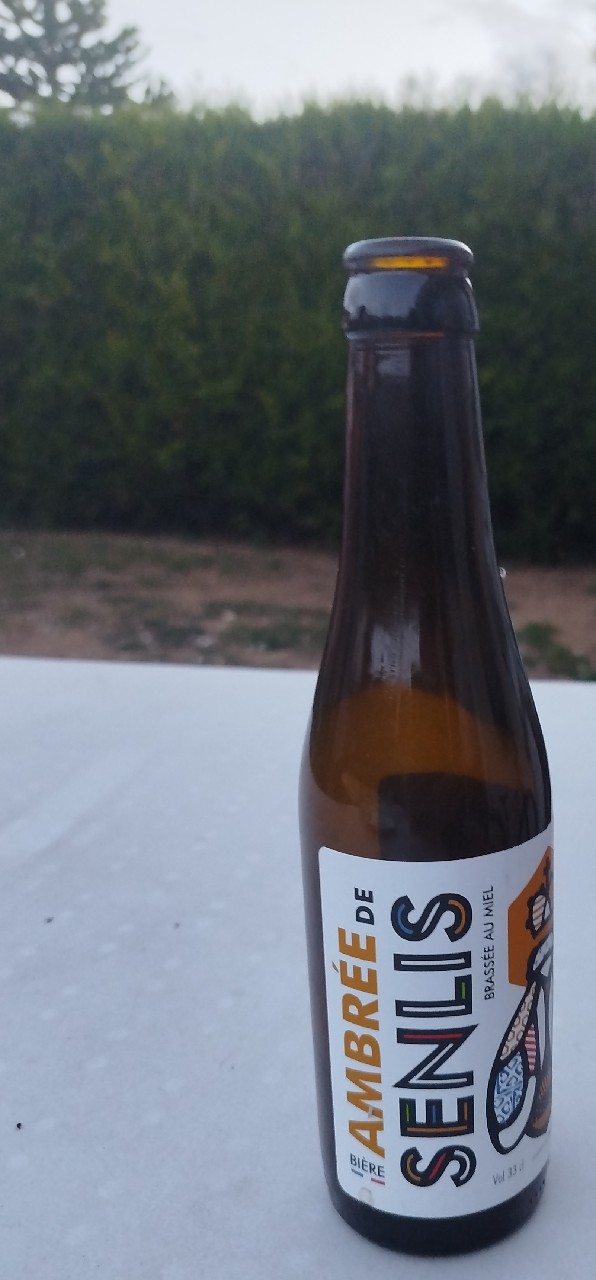 Ambrée De Senlis, France