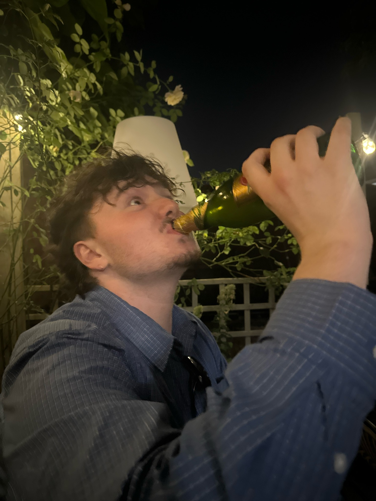 Zlatý Bažant 12% / Ležák / Prémiový Ležák / Lager, Slovakia