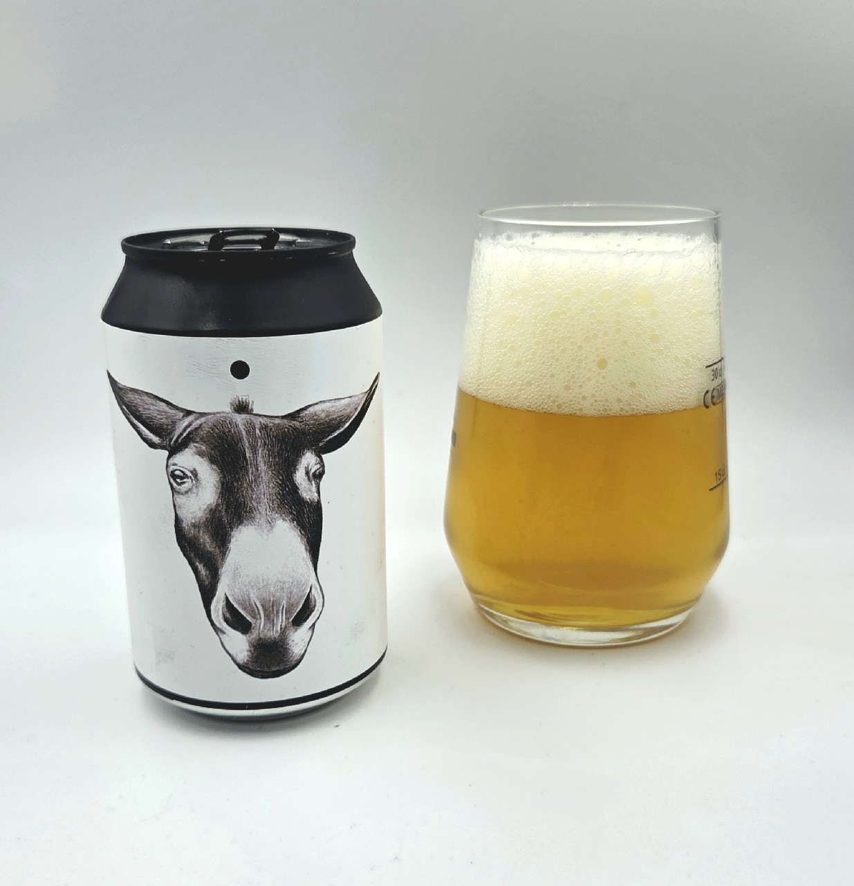 Tupamaros, Ritual Lab