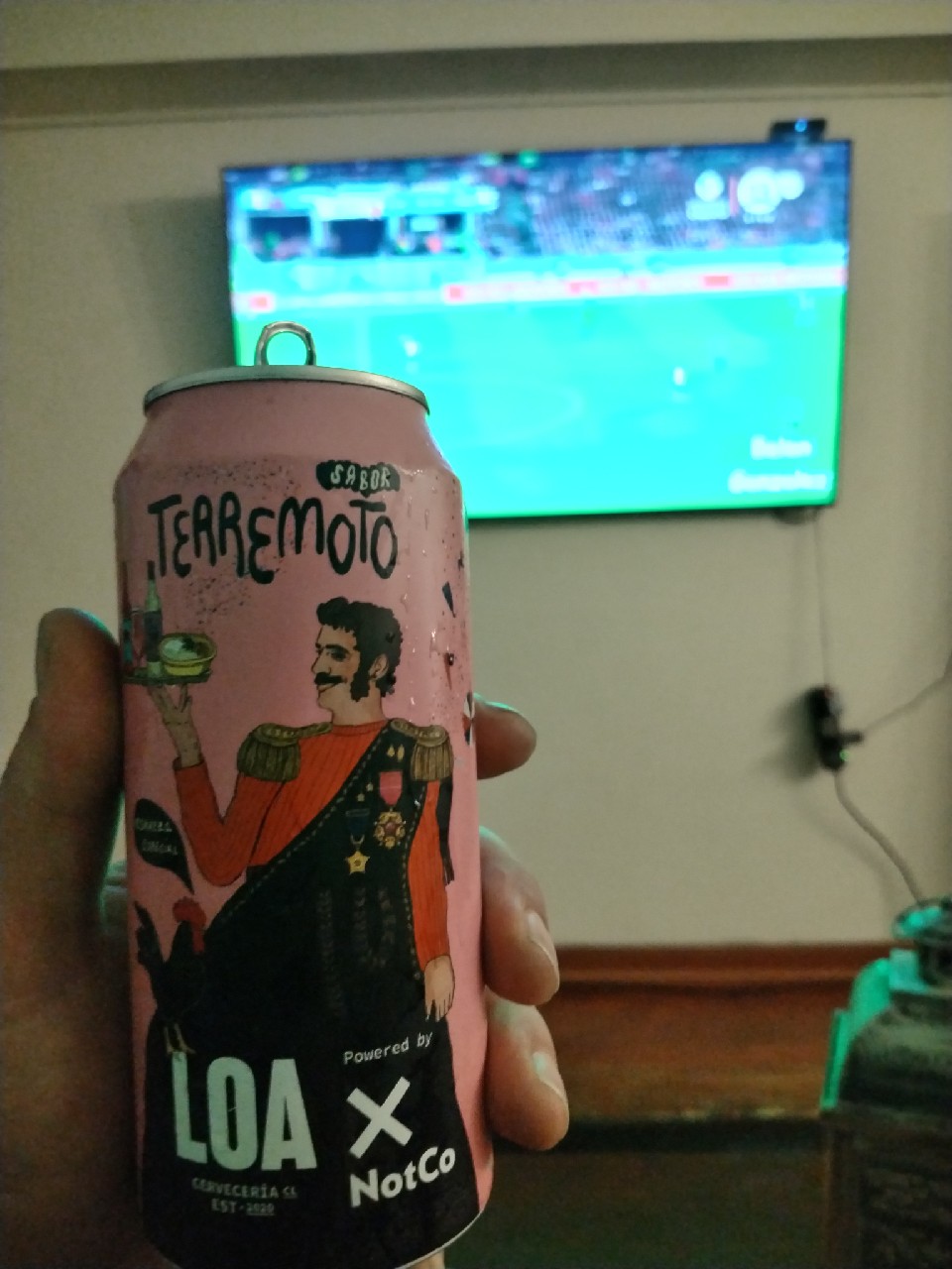 terremoto, Loa Chile Spa