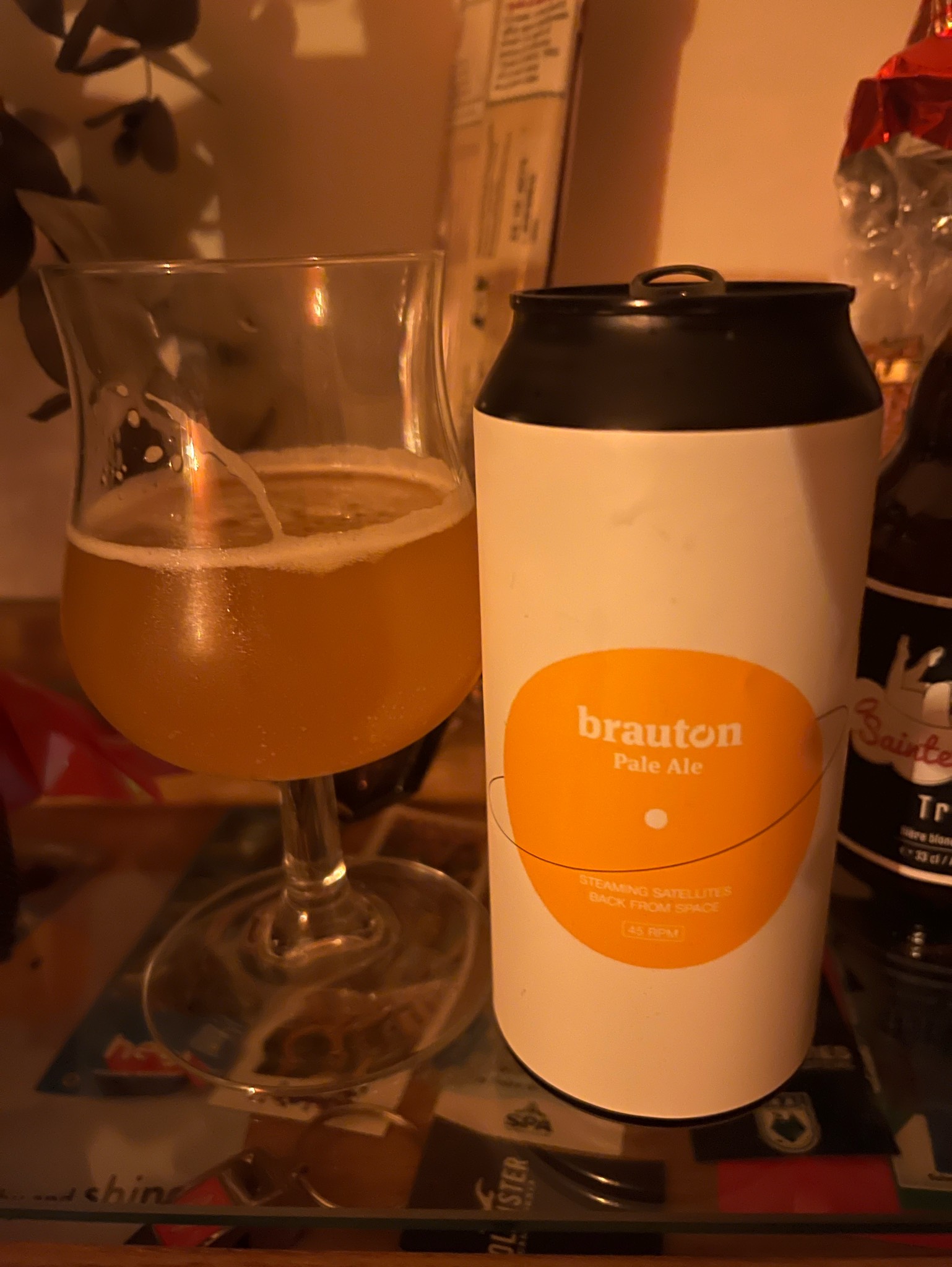 Back from Space, Germany