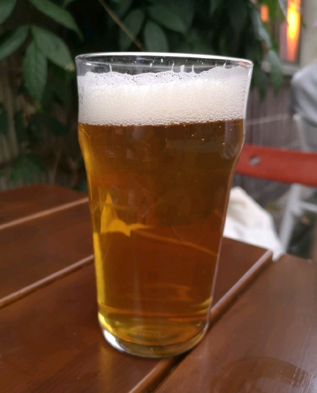 Synde Bräu Mosaic Ale, Synde Bräu