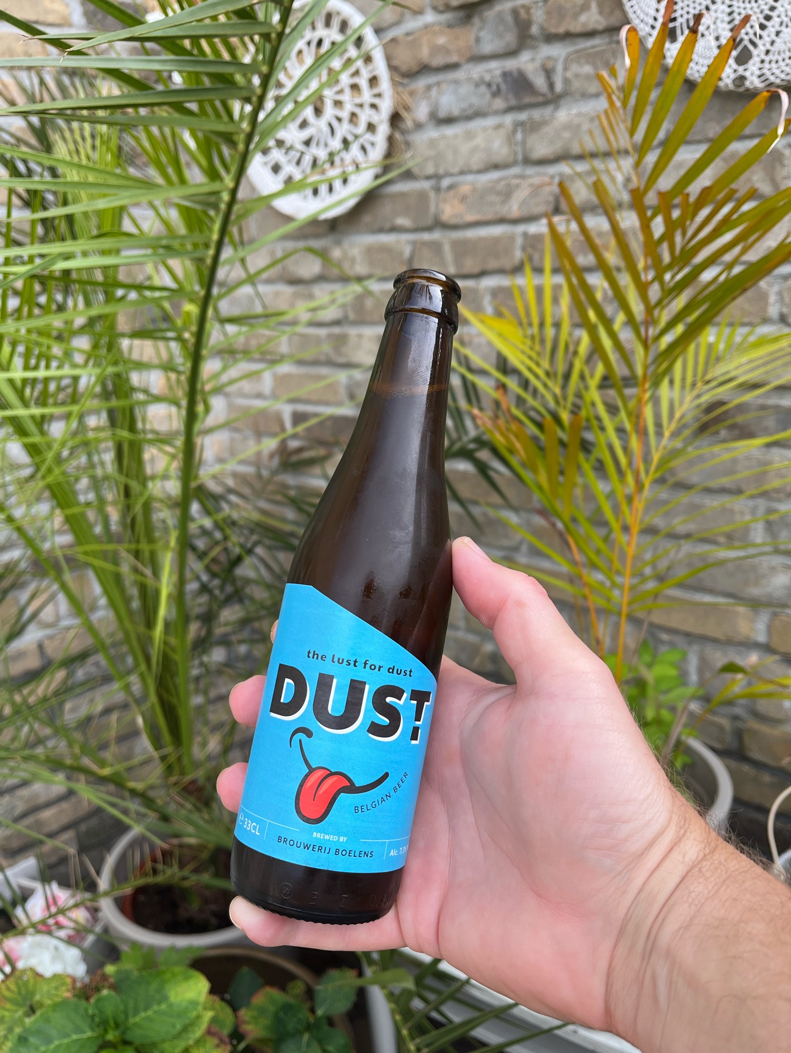 Dust, Brouwerij Boelens