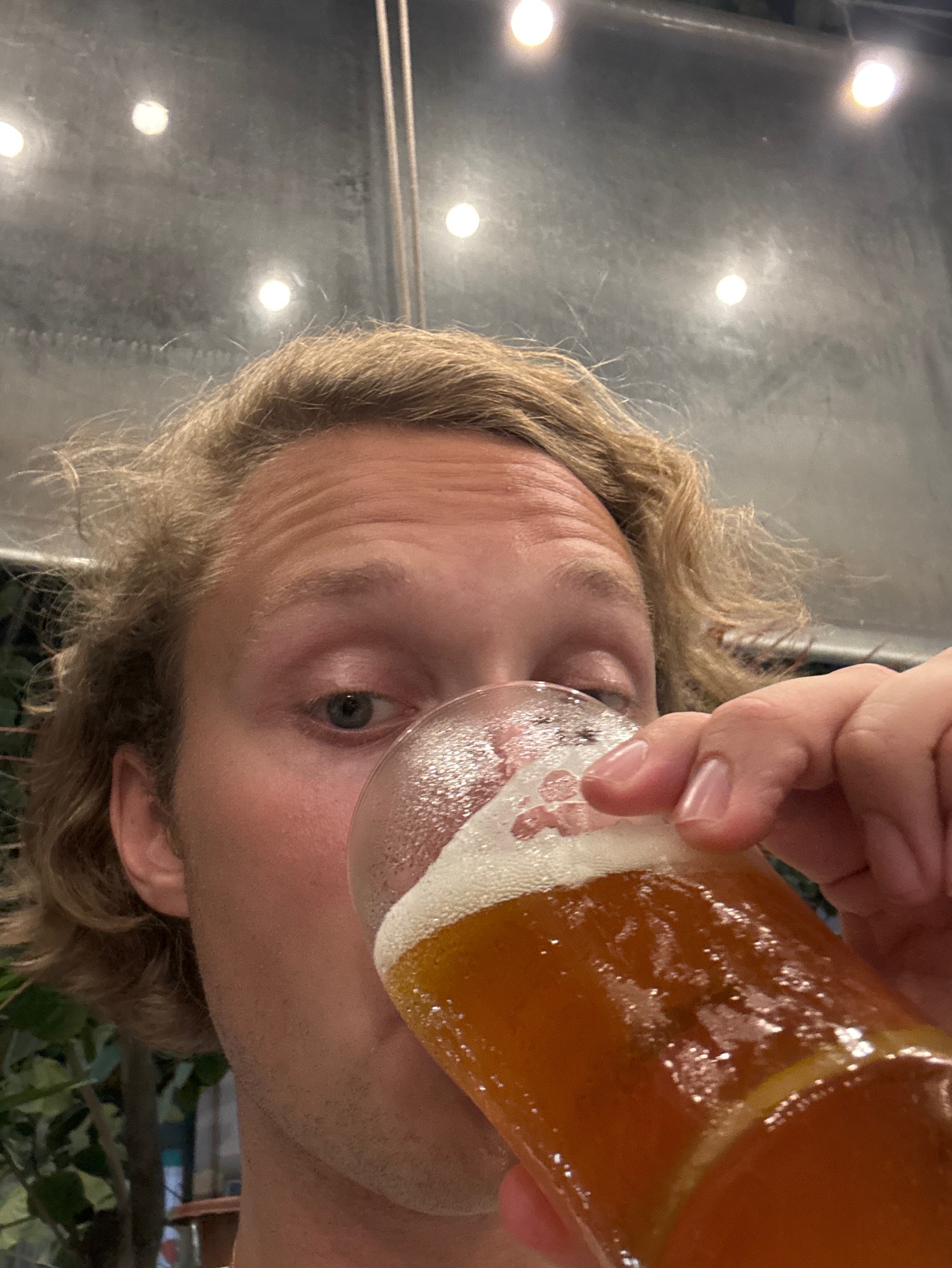 Dragon IPA, 7 Bridges Brewing Co