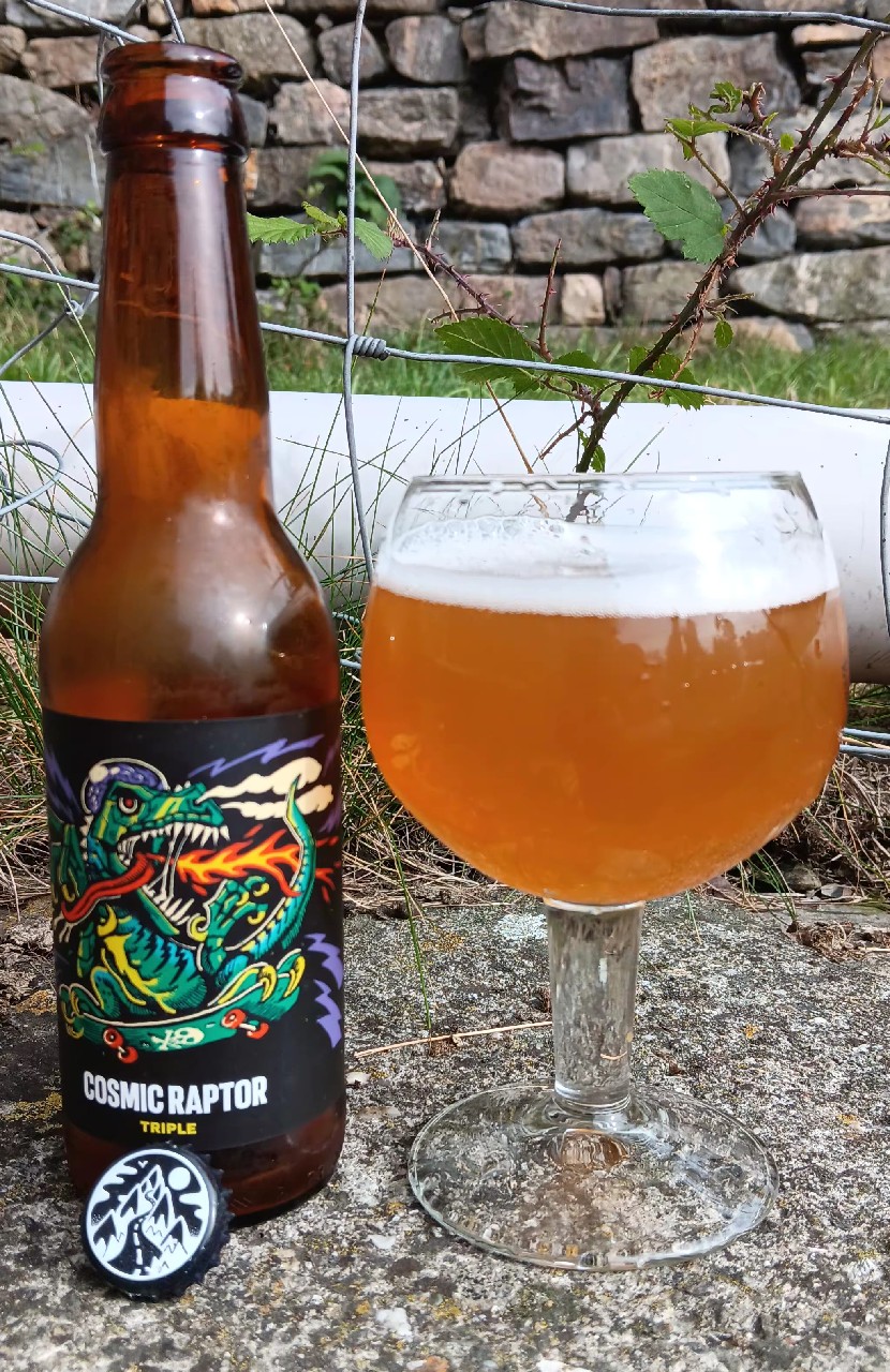 Cosmic Raptor, France