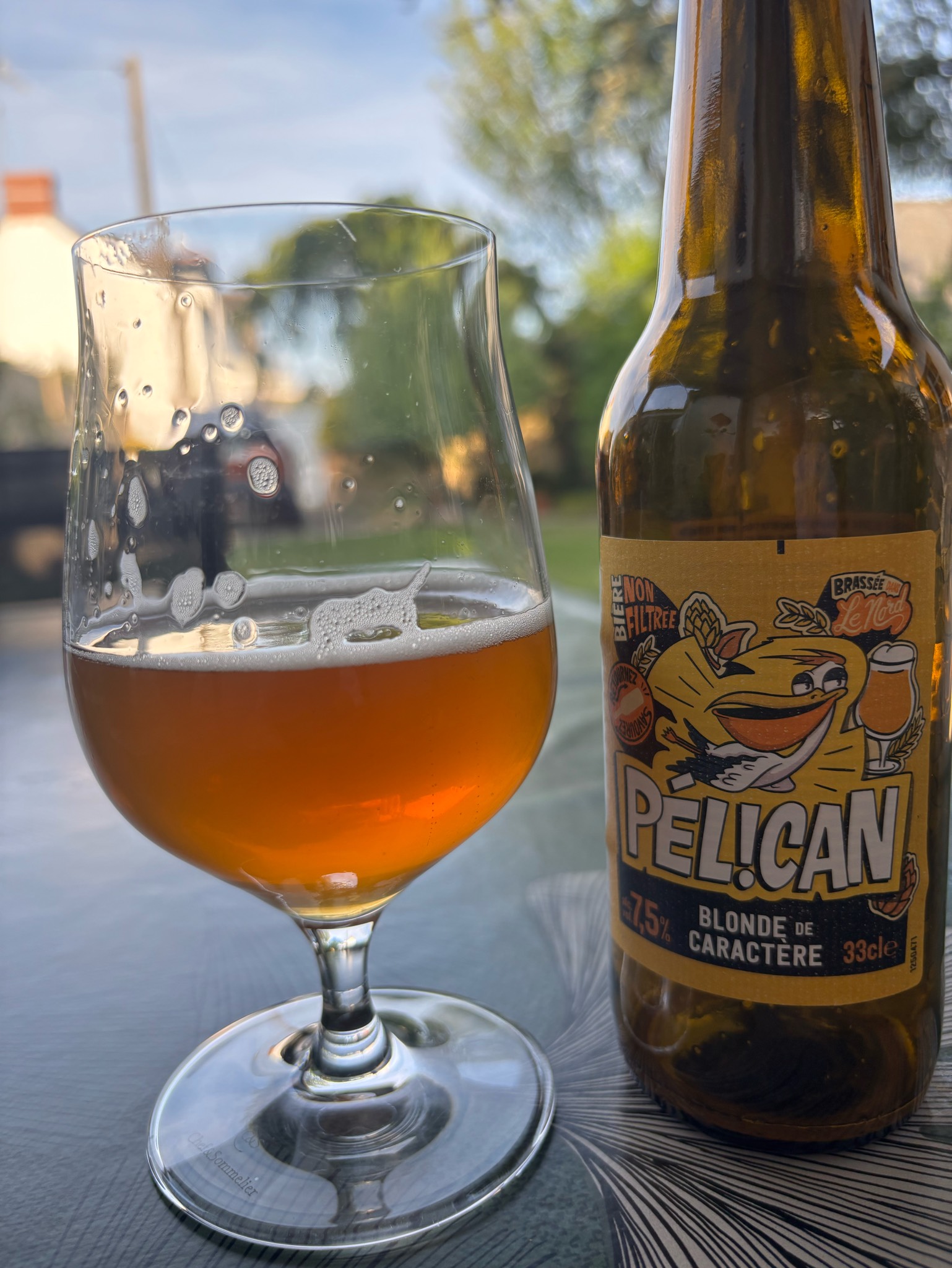 Pélican Blonde, France