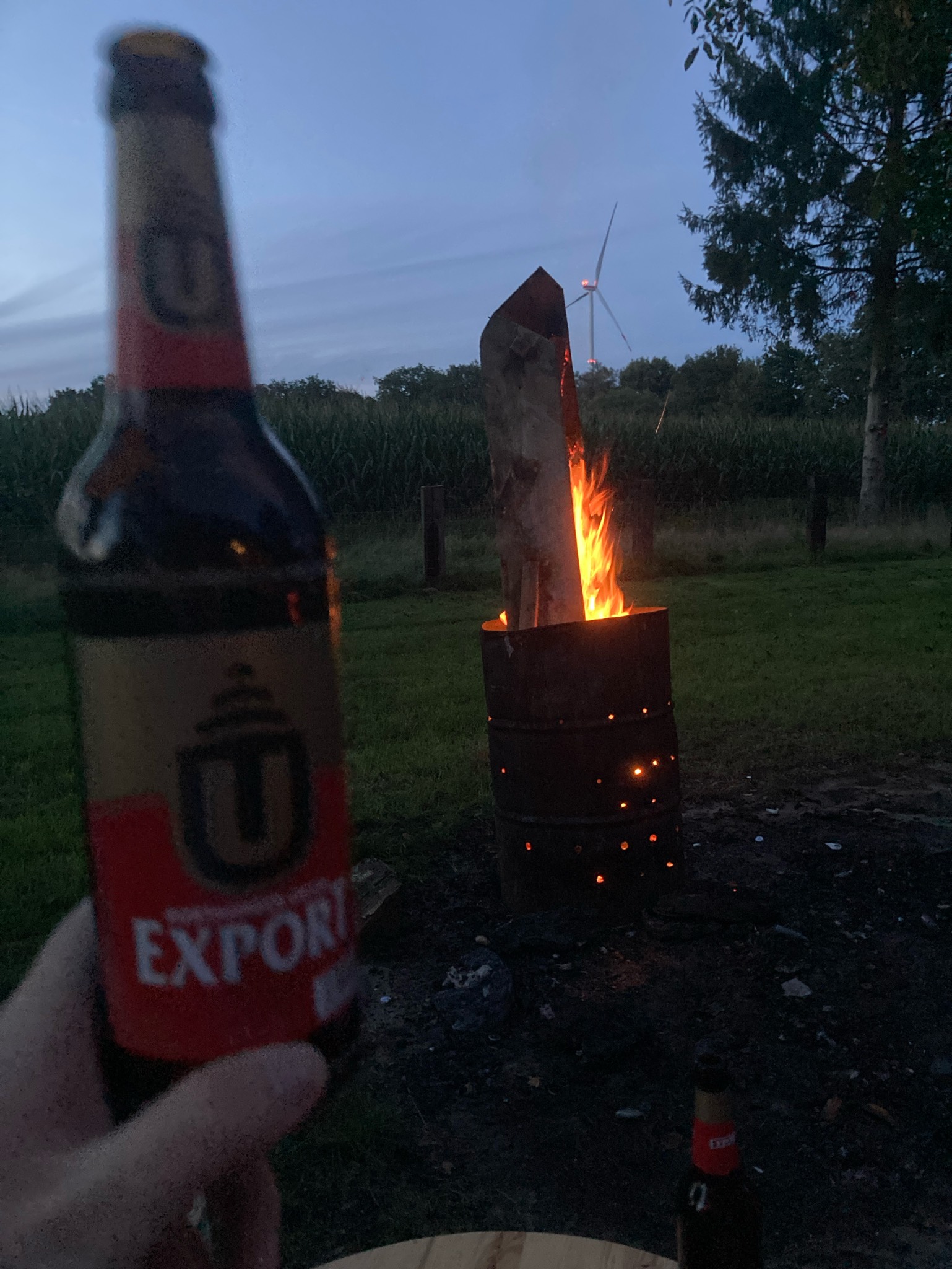 Dortmunder Union Export, Dortmunder Union