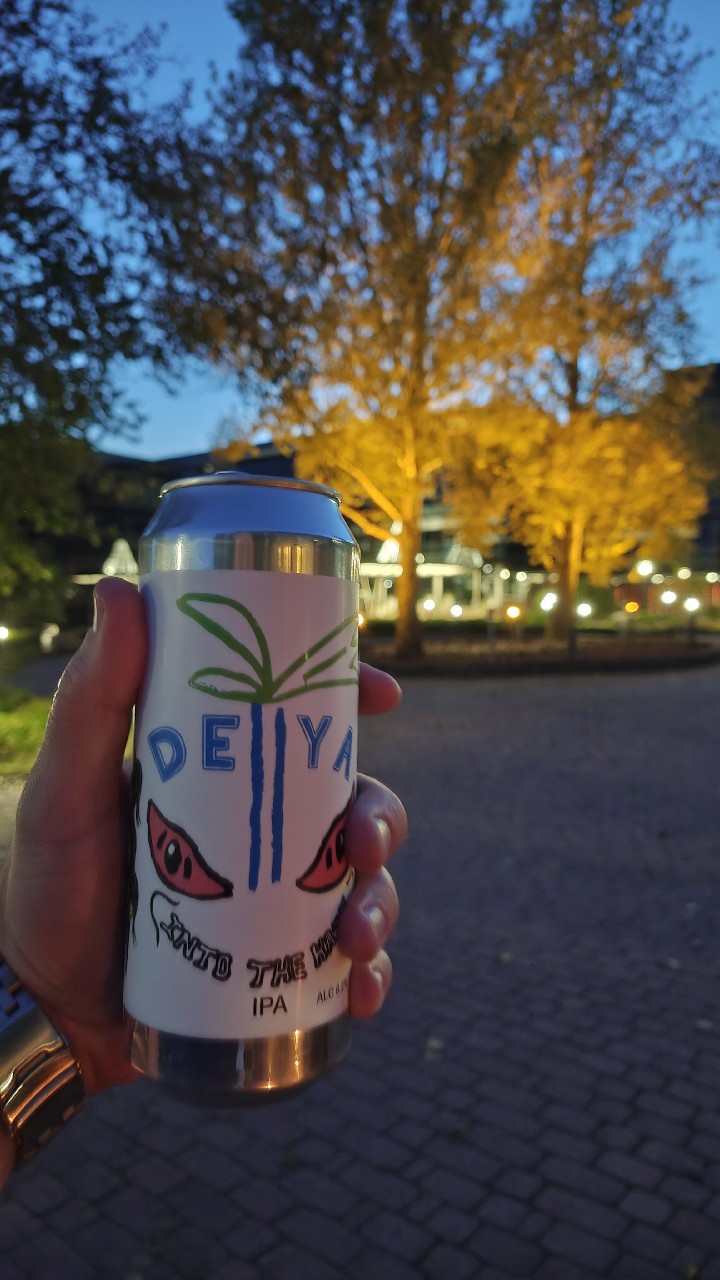 Into The Haze, DEYA Brewing Company