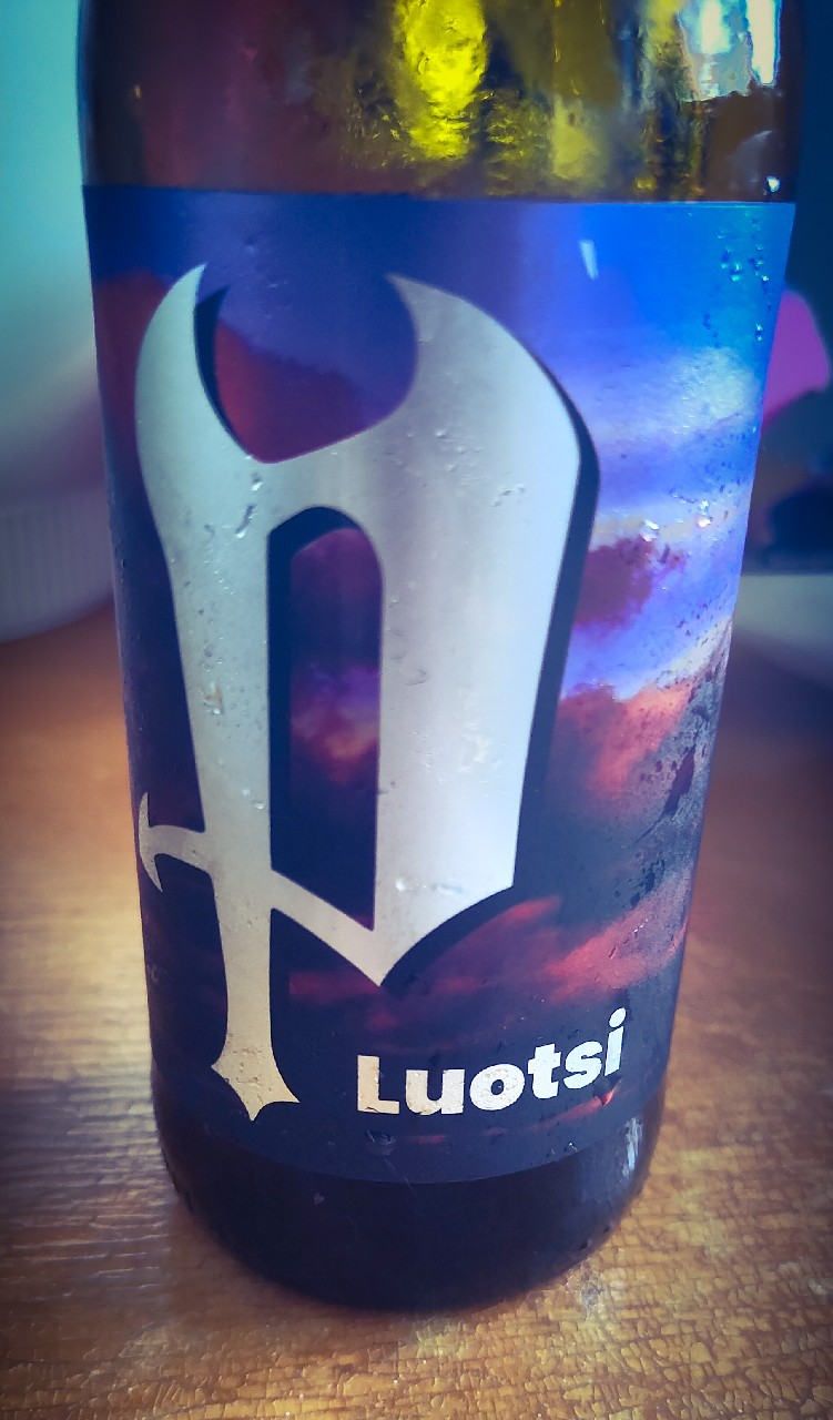 Luotsi, Finland