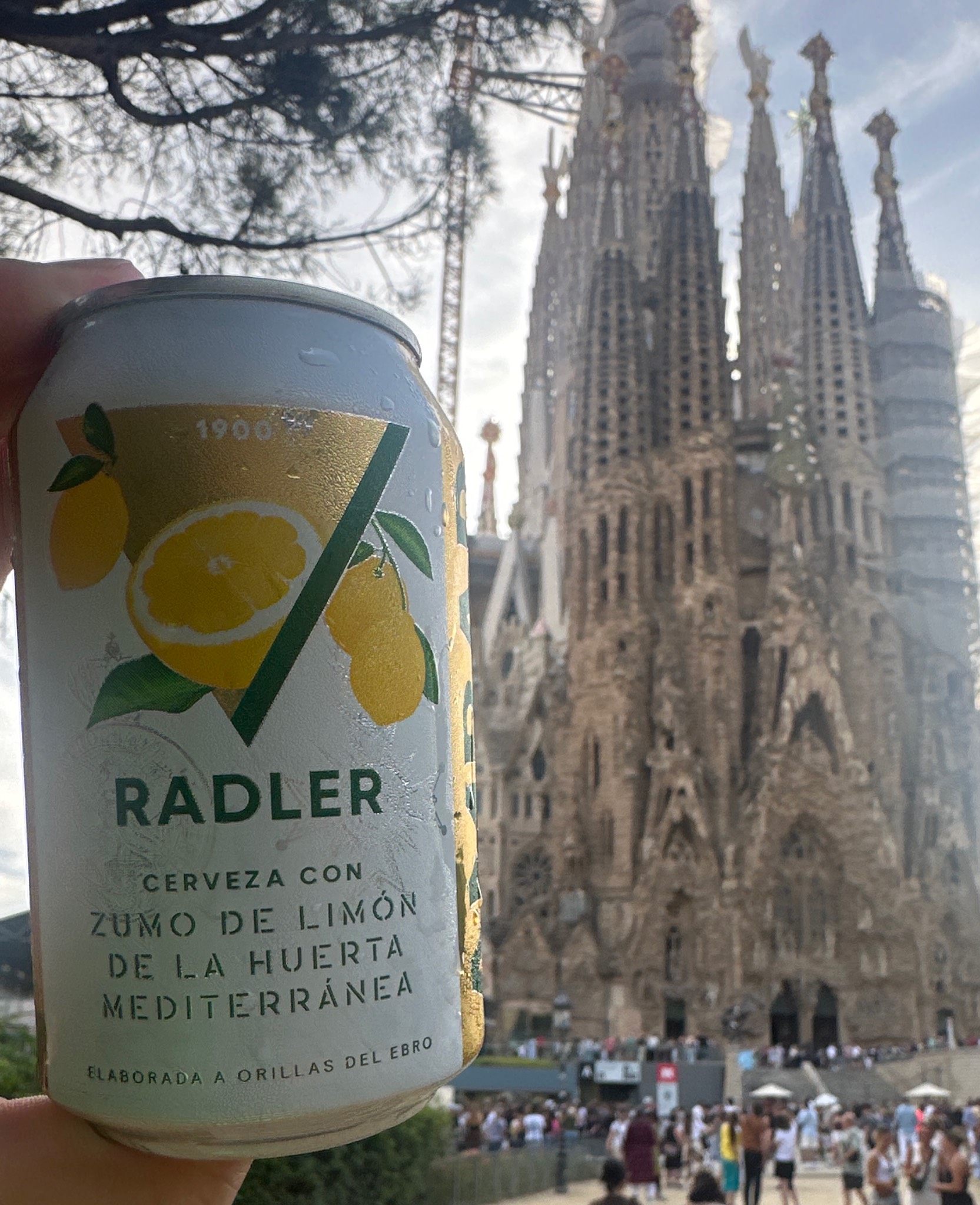Ambar Radler, La Zaragozana