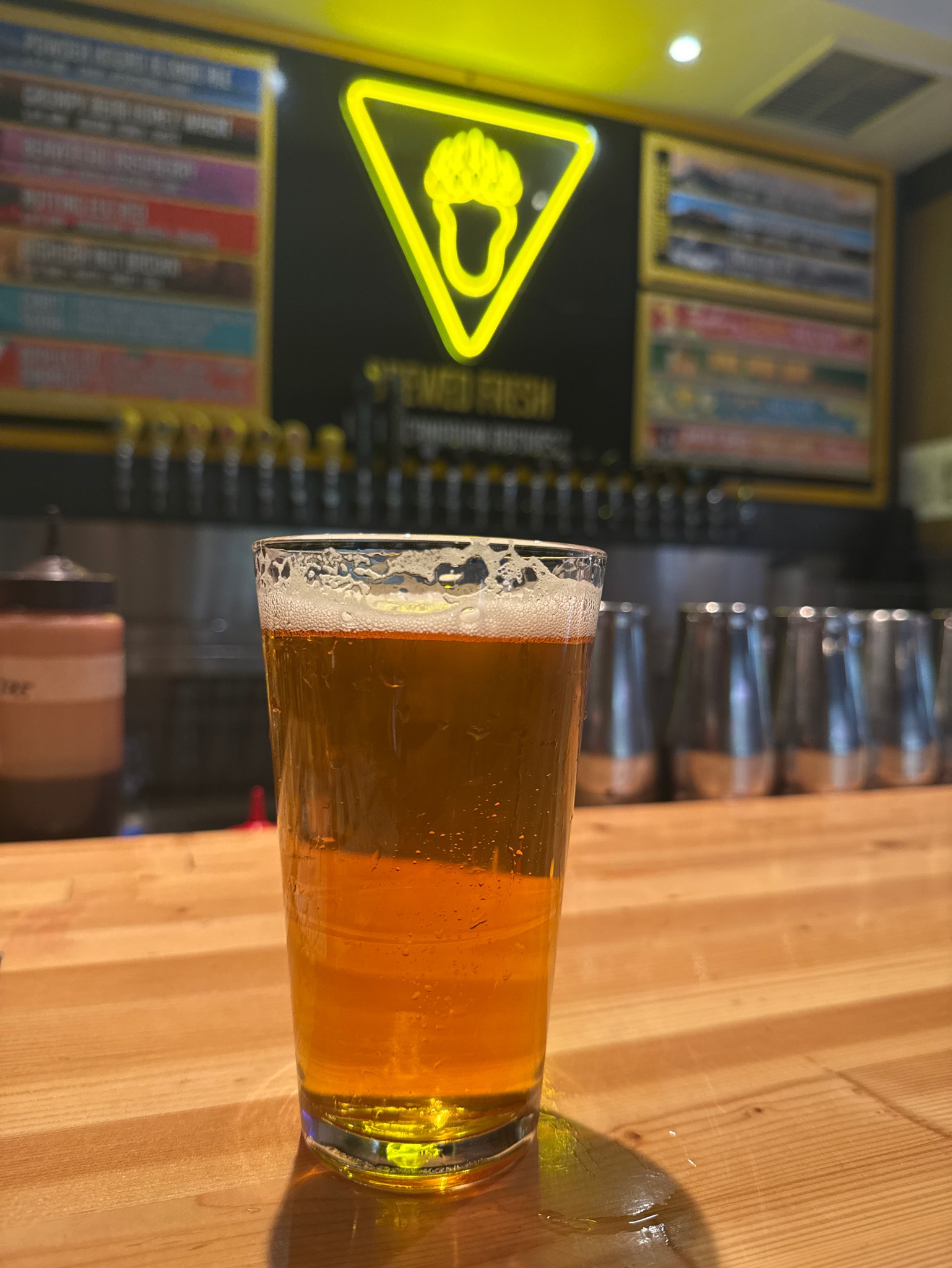 Evolution IPA, The Grizzly Paw Brewing Company