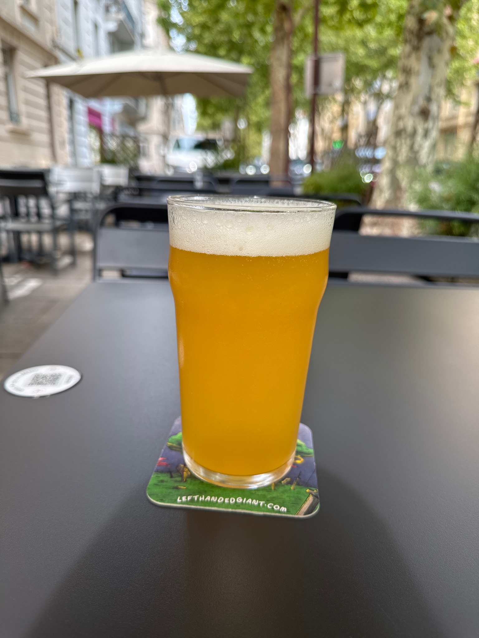 Renaître De Ses Cendres, France