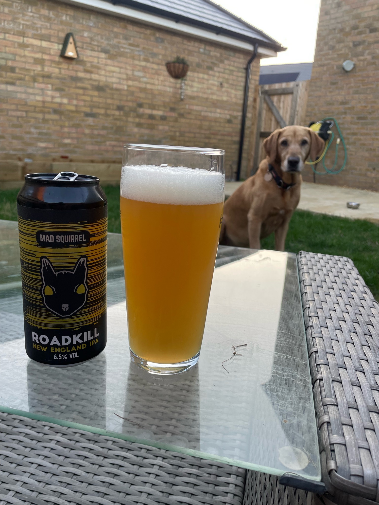 Roadkill, Mad Squirrel Brewing
