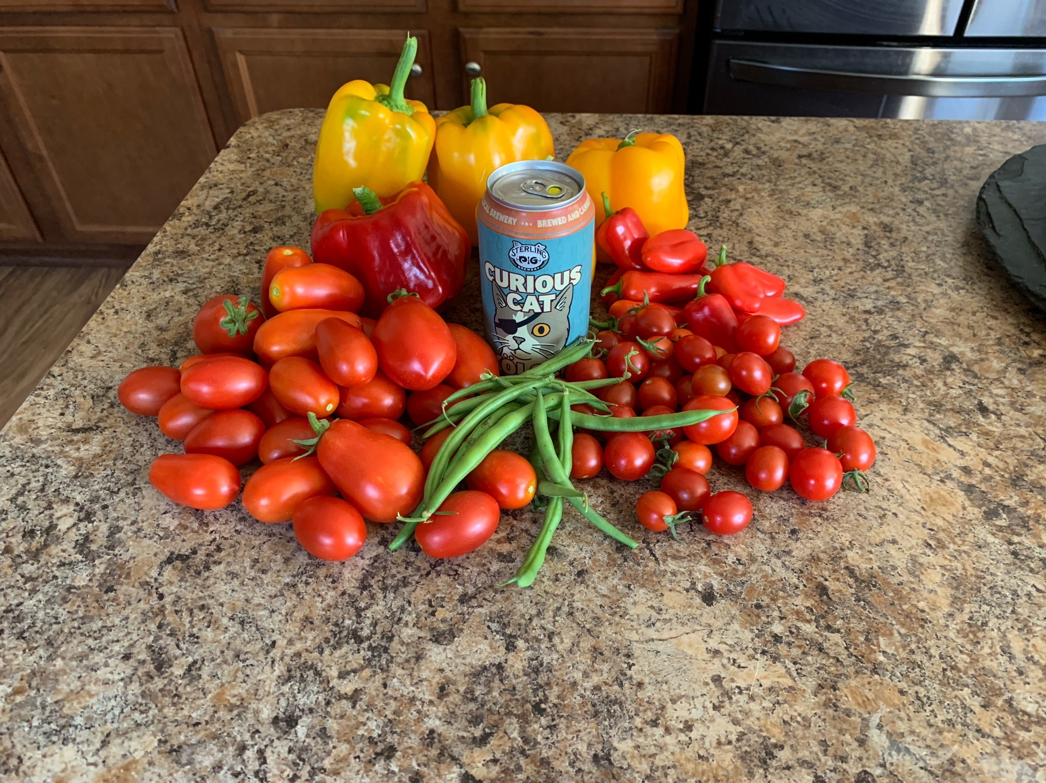 Curious Cat, Sterling Pig Brewery