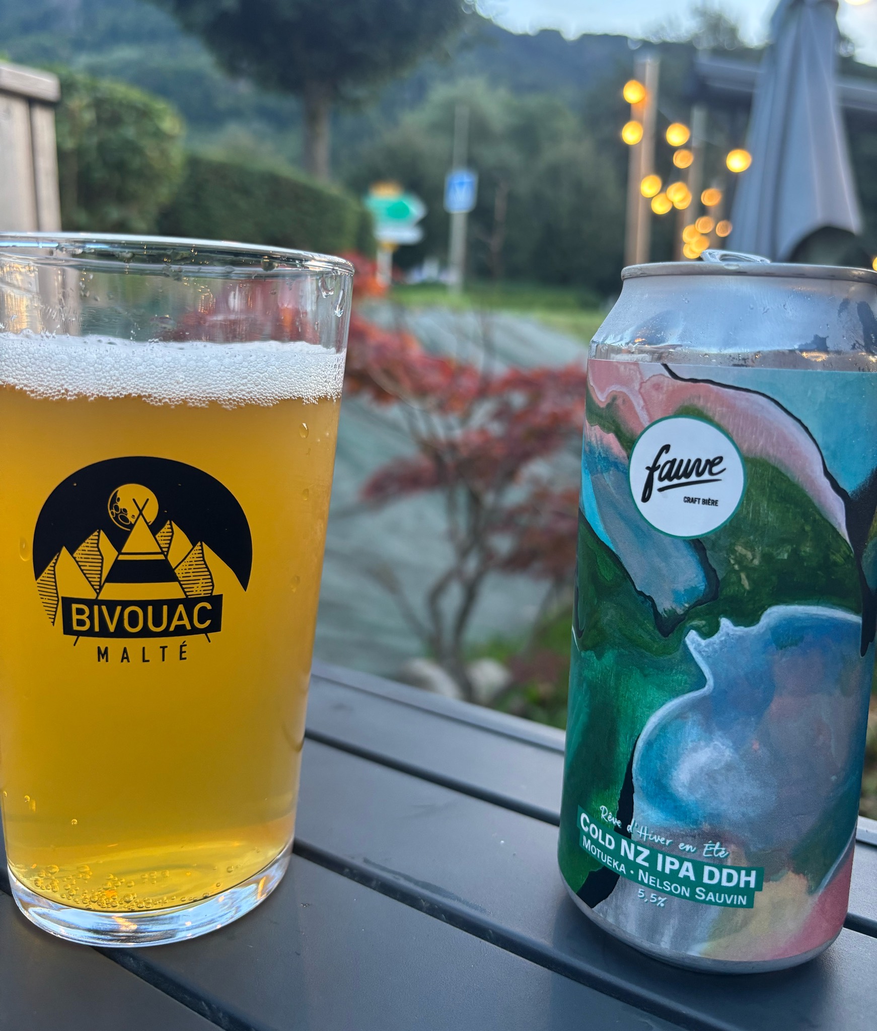 Rêve D'Hiver En Été, France