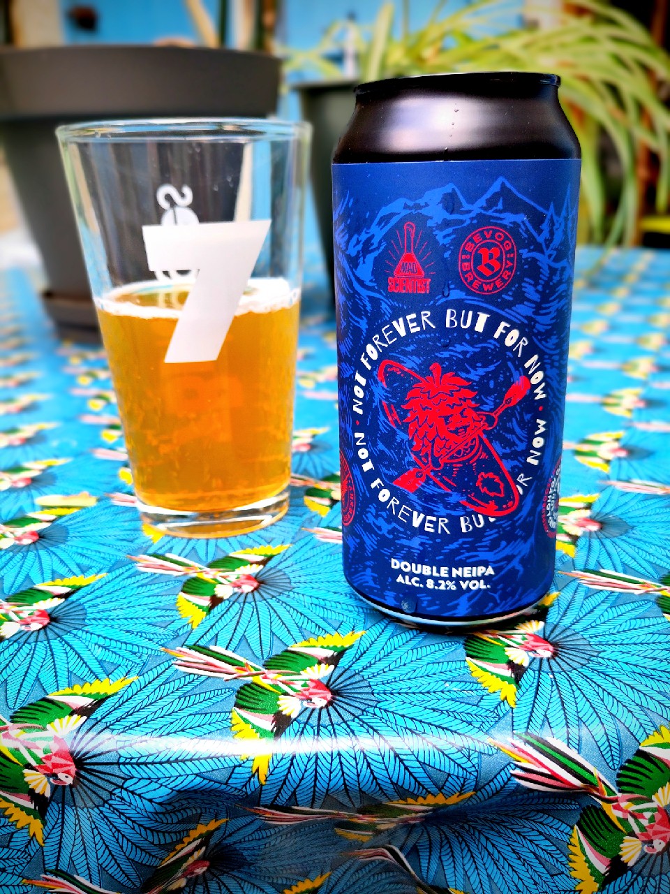 Not Forever But For Now, Hungary