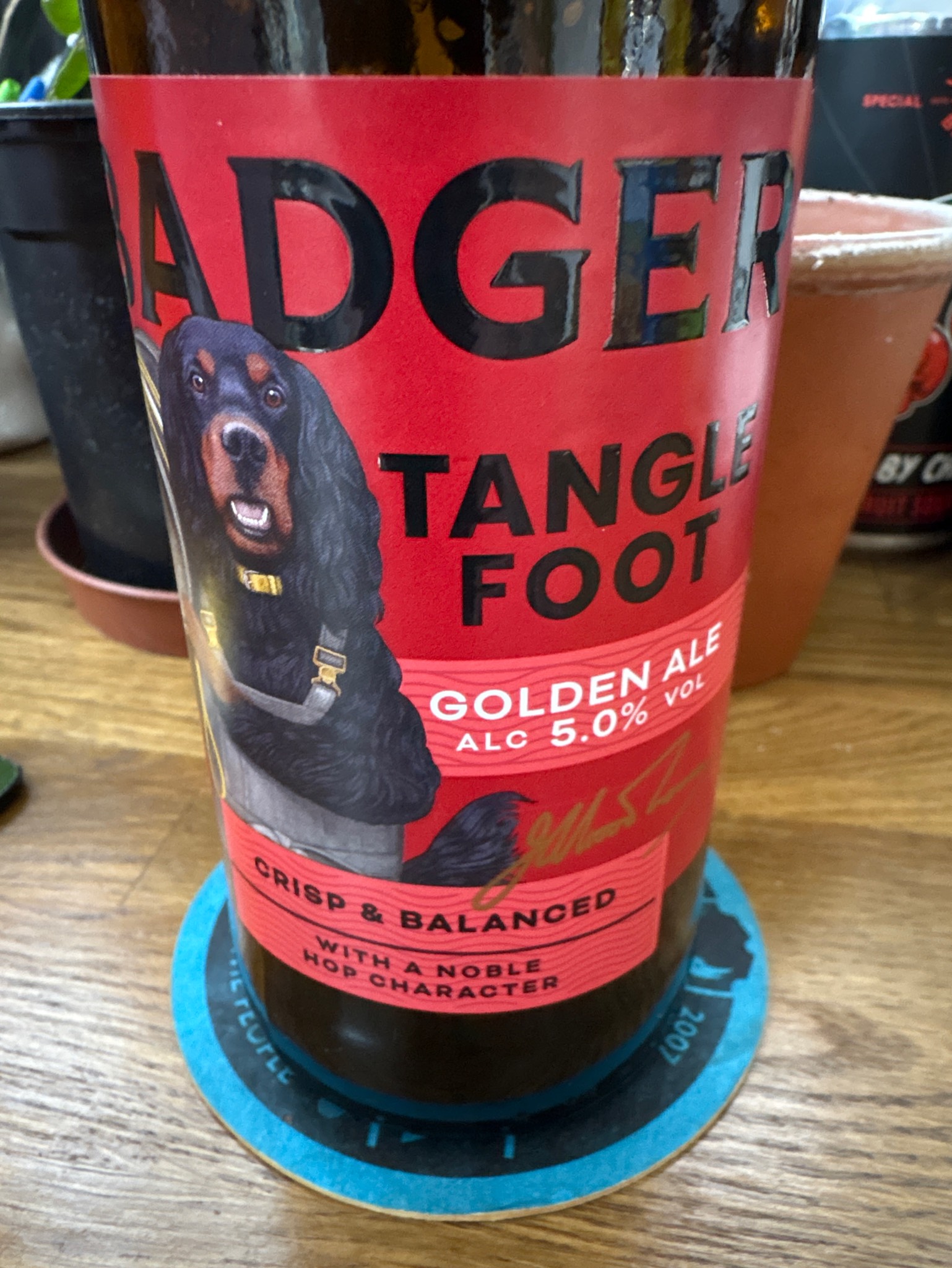 Tangle Foot, England