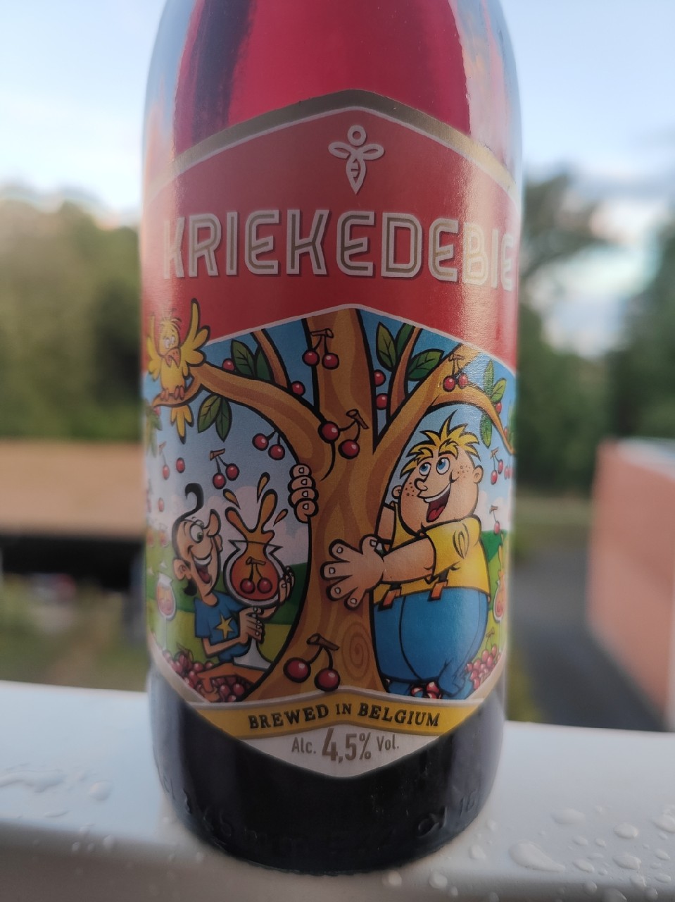 Kriekedebie, Belgium